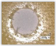 Polymers 15 04609 i035