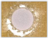 Polymers 15 04609 i042