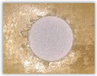 Polymers 15 04609 i043