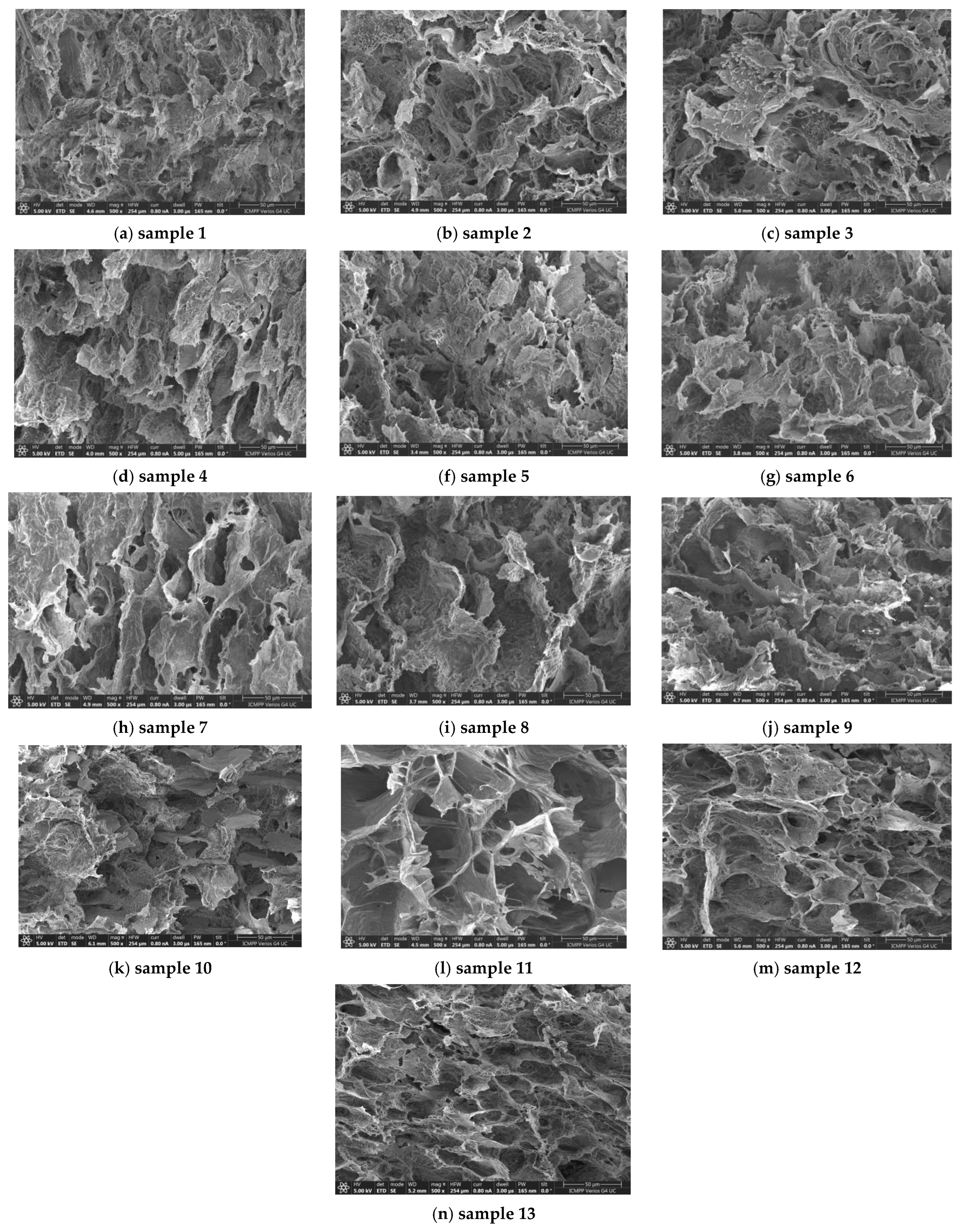 Polymers 15 04611 g001