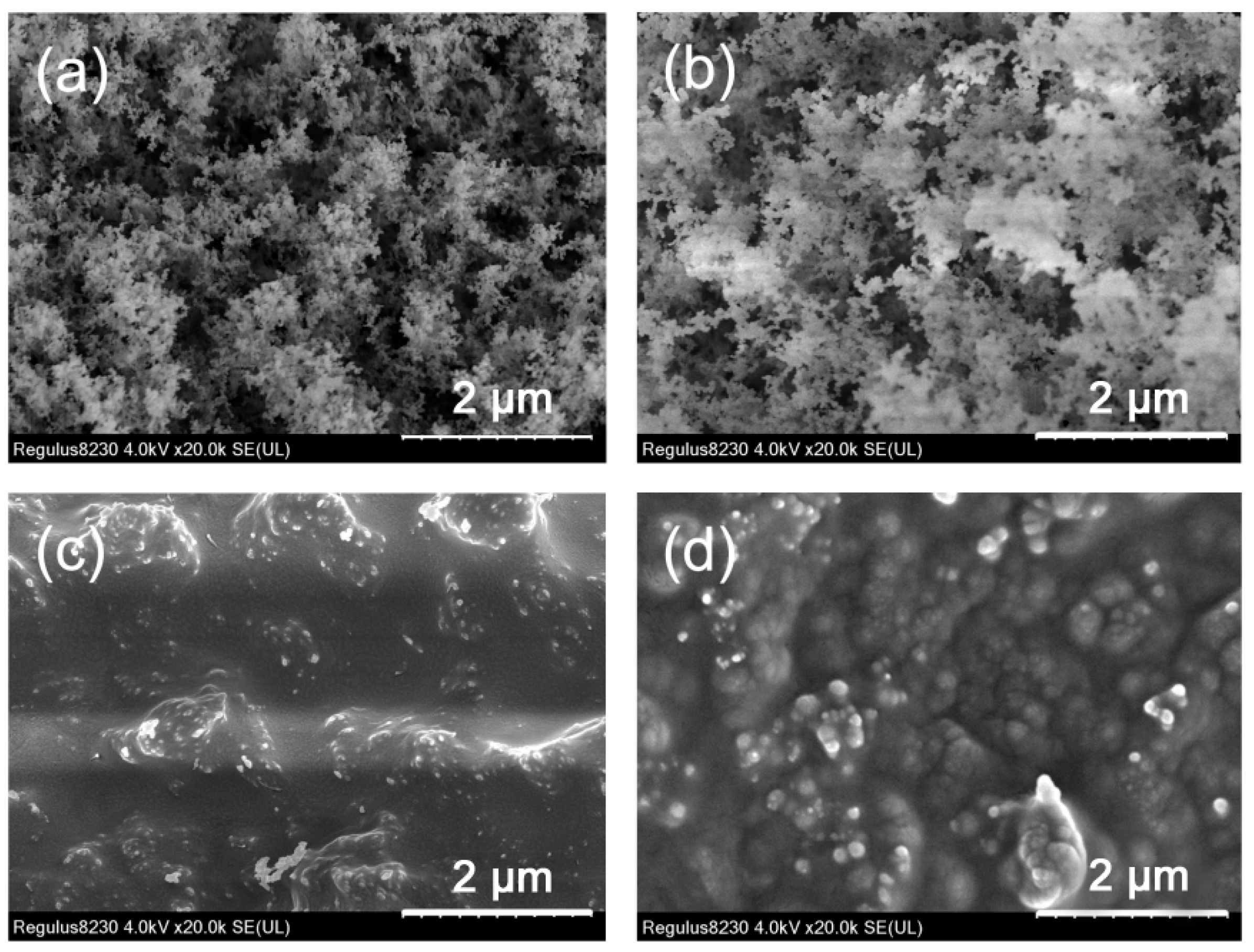 Polymers 15 04612 g011