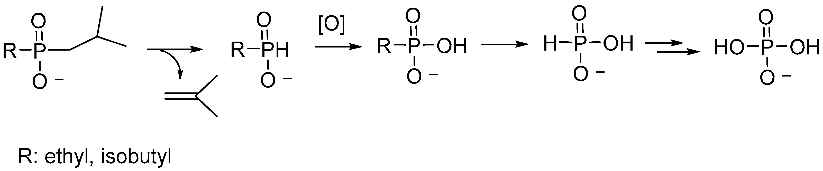 Polymers 15 04612 sch001