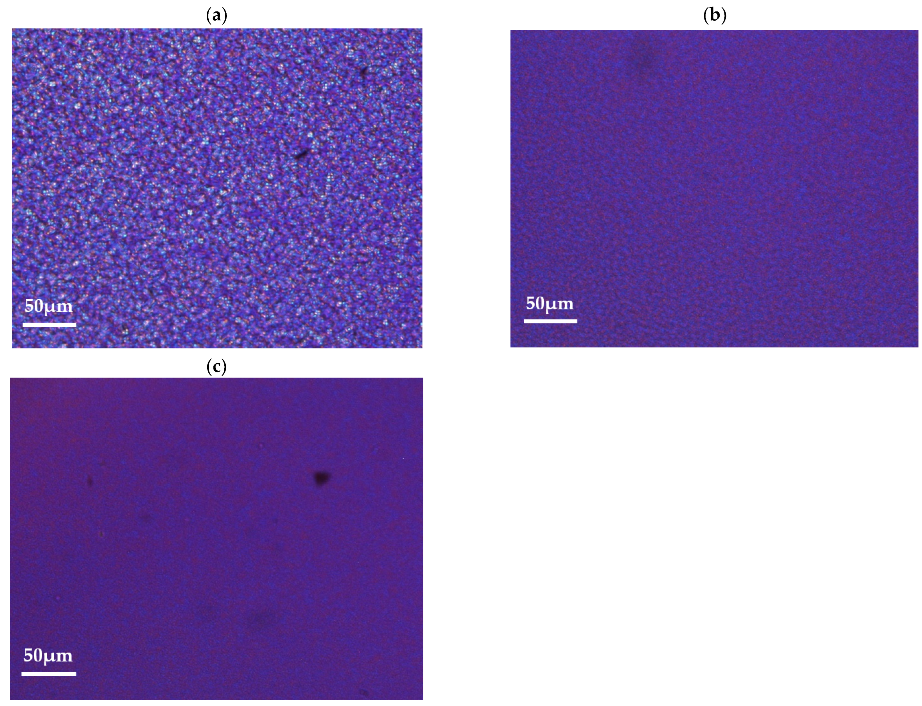 Polymers 15 04613 g002