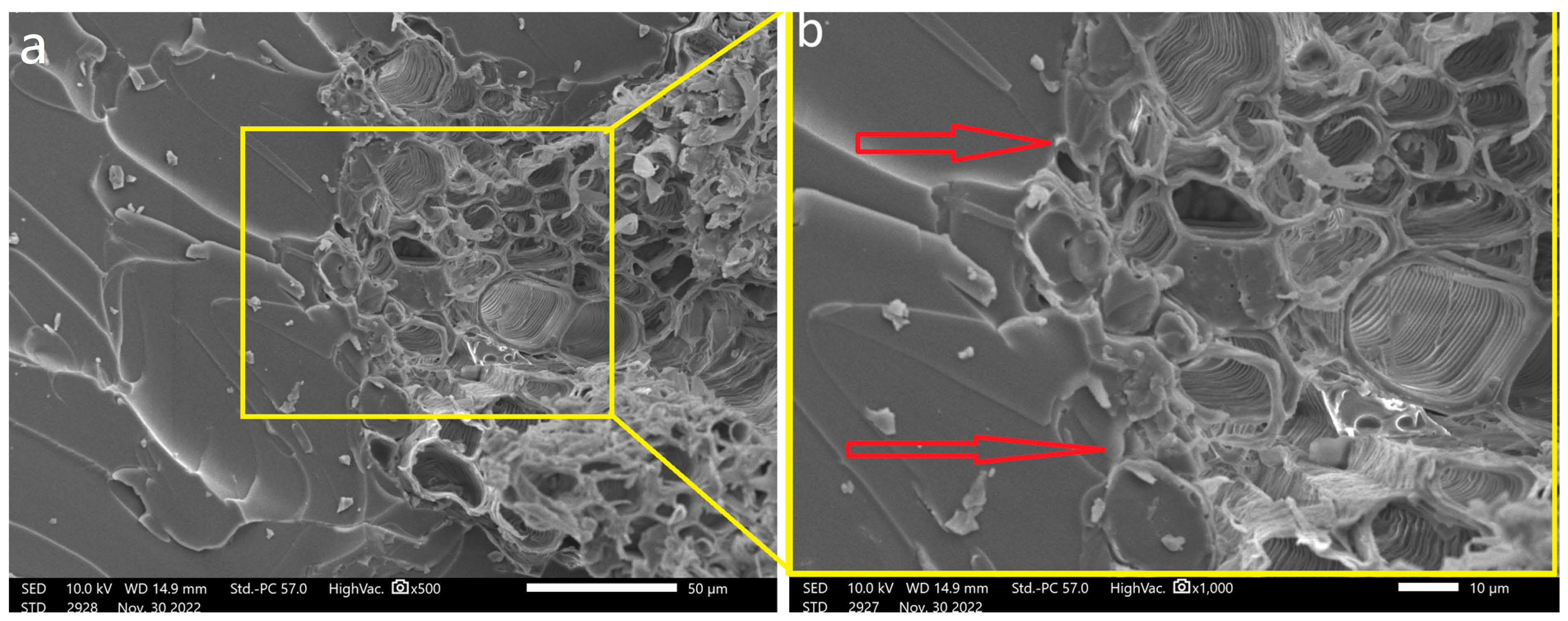 Polymers 15 04614 g006