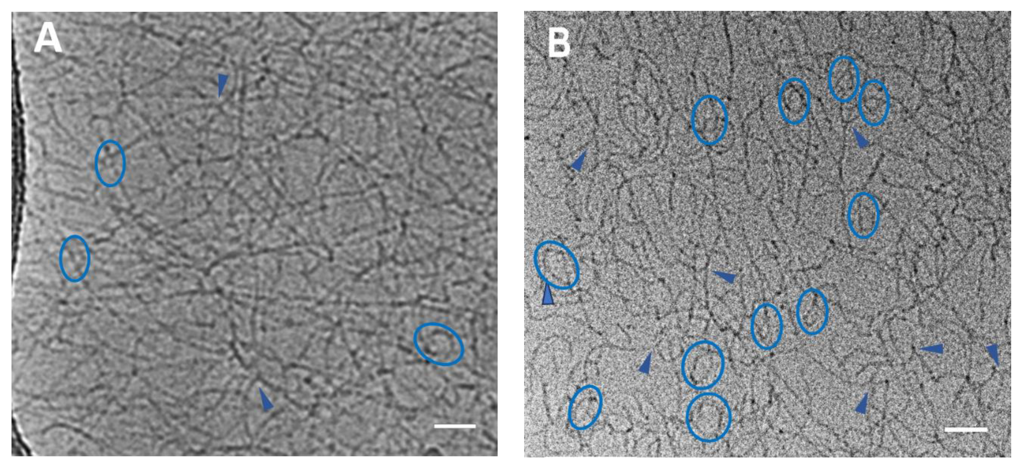 Polymers 15 04615 g001a
