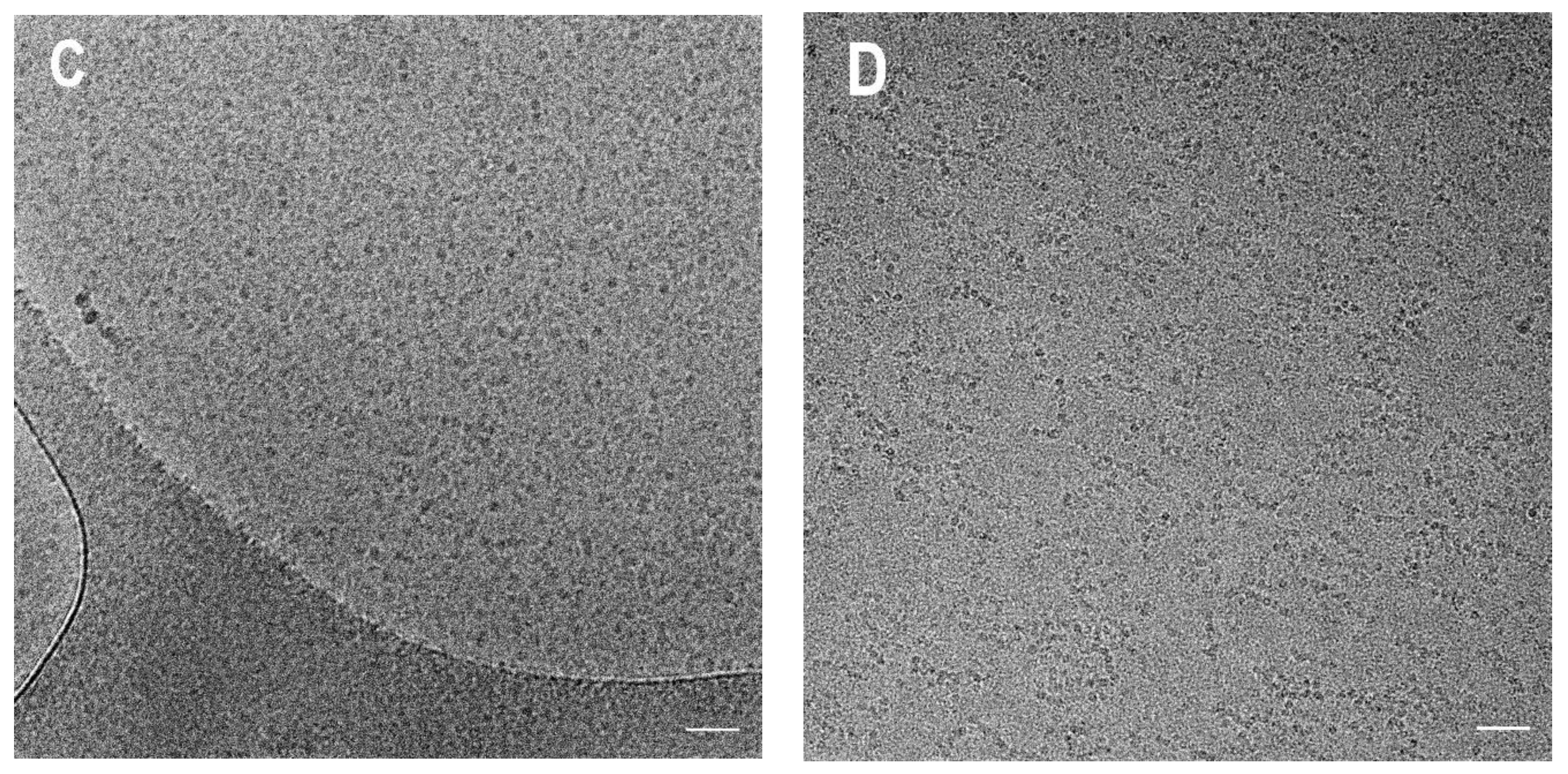 Polymers 15 04615 g001b
