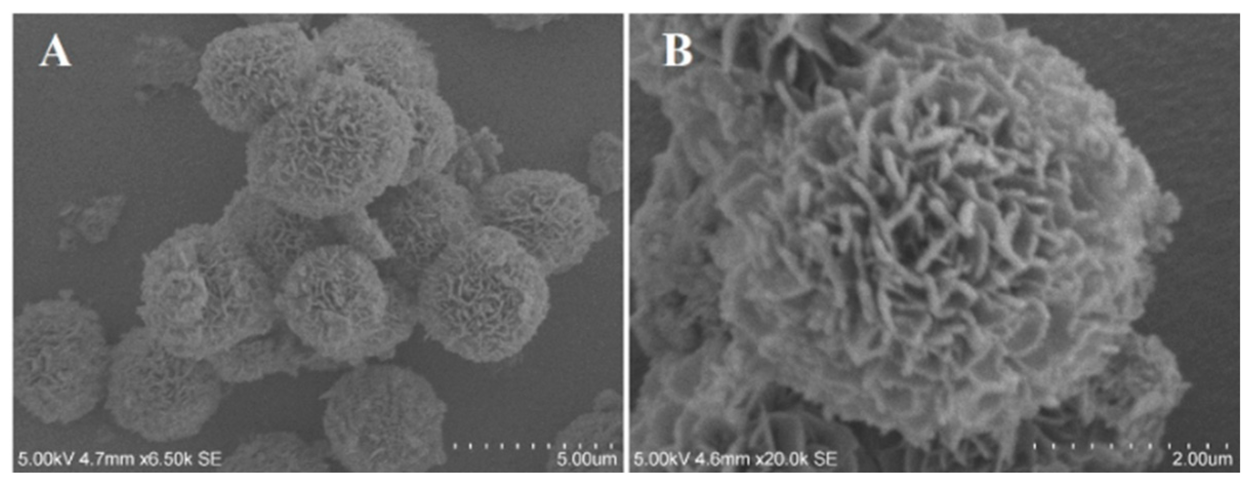 Polymers 15 04616 g003