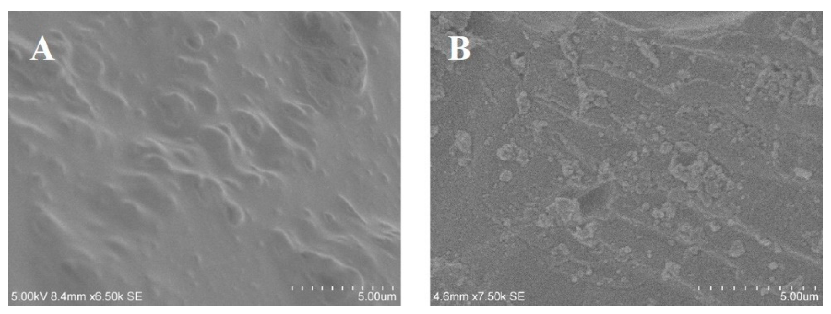 Polymers 15 04616 g011