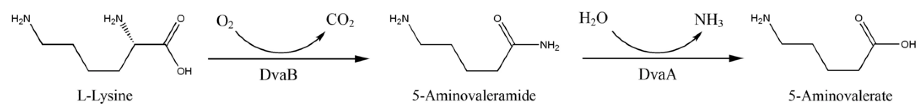 Polymers 15 04617 sch002