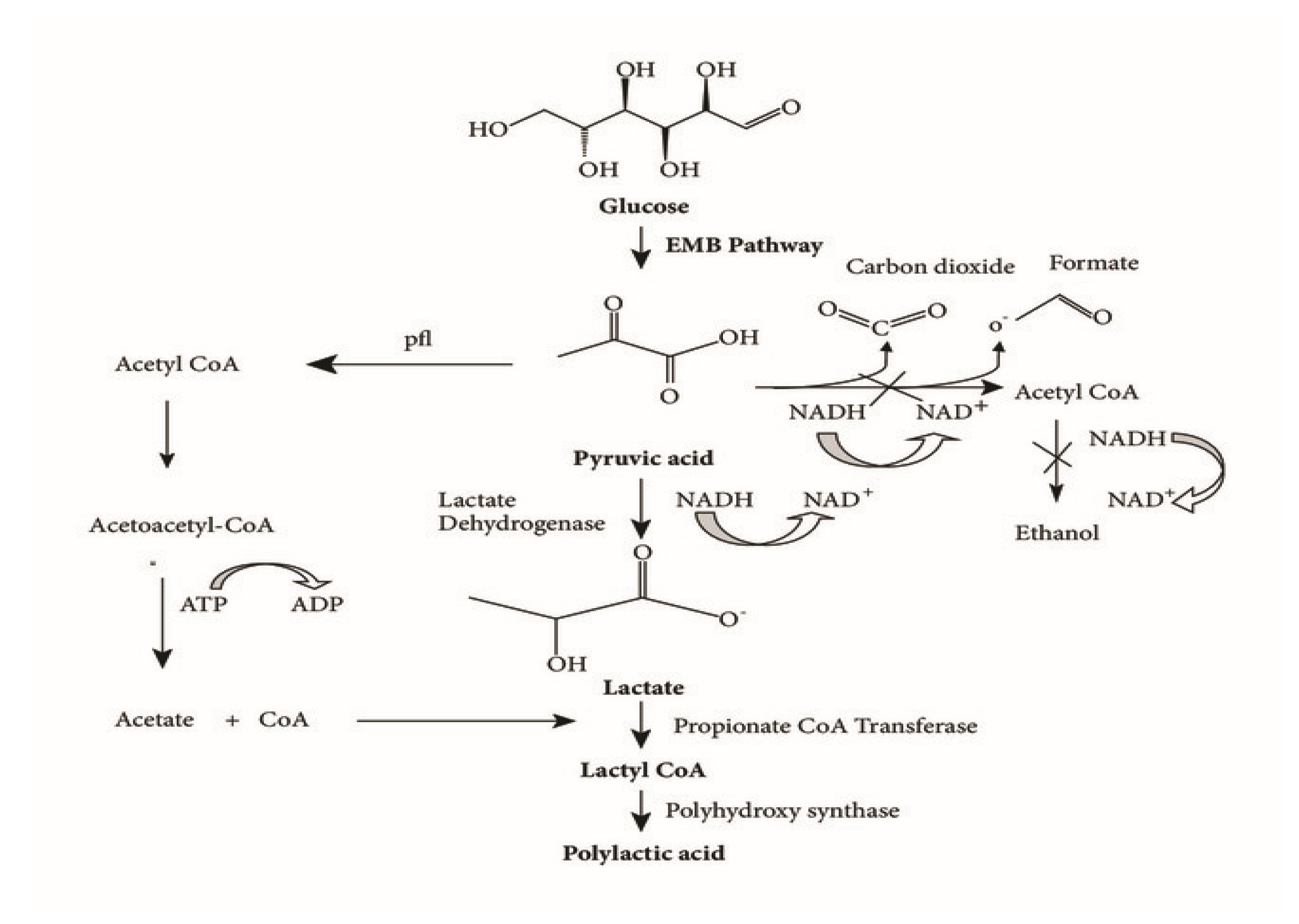 Polymers 15 04617 sch003
