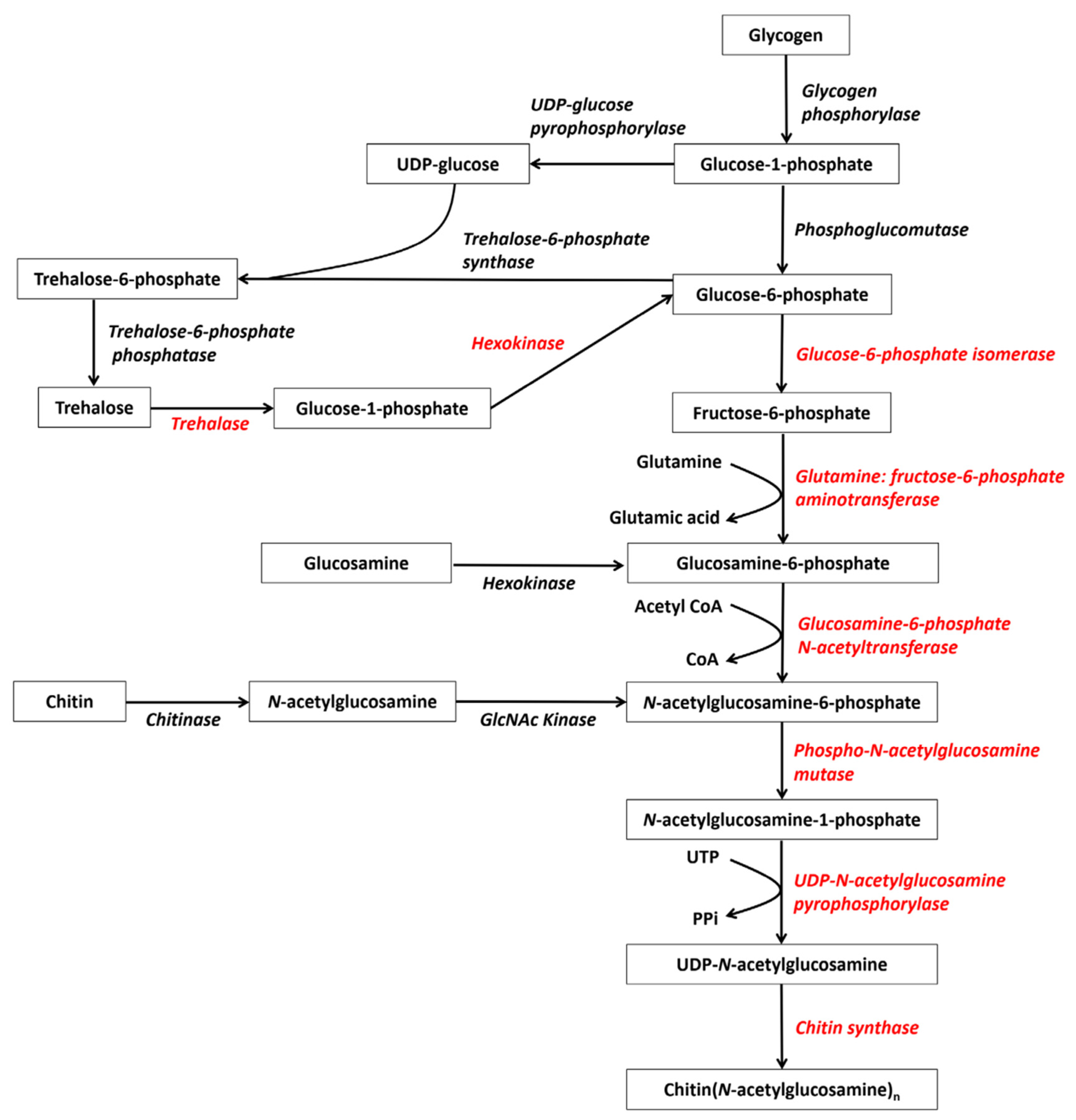 Polymers 15 04617 sch004
