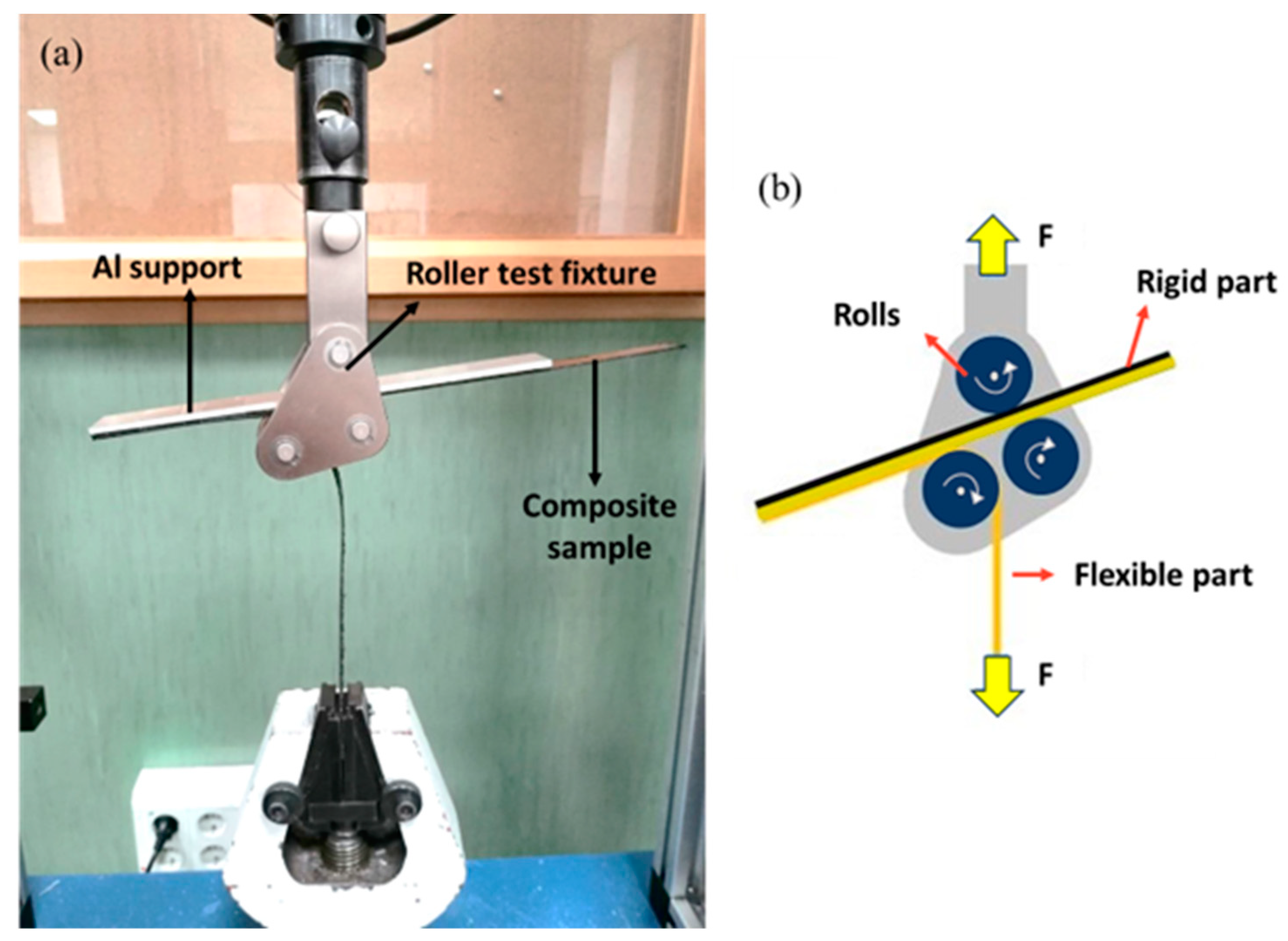 Polymers 15 04619 g005