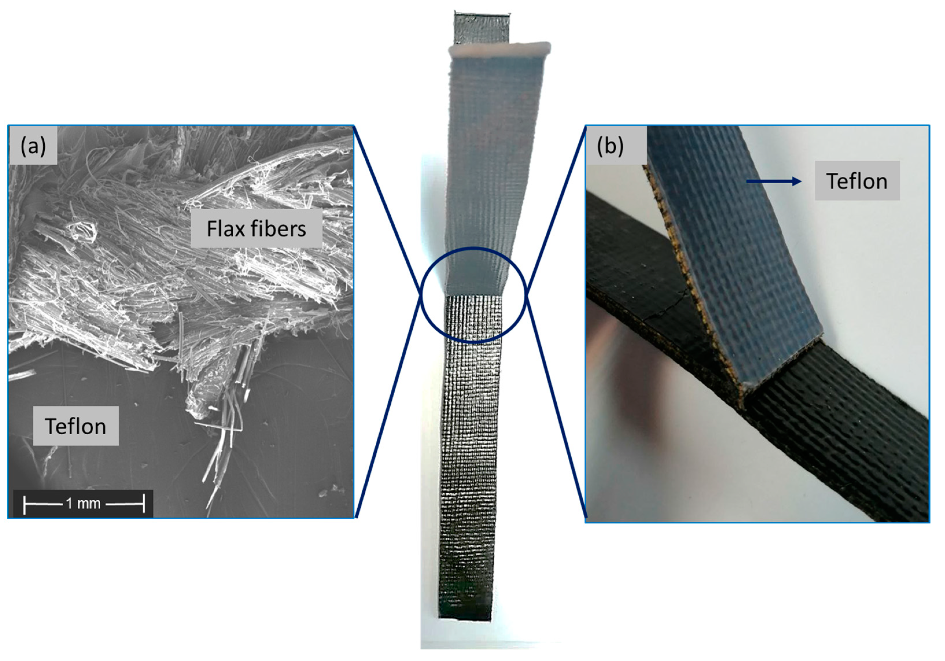 Polymers 15 04619 g009