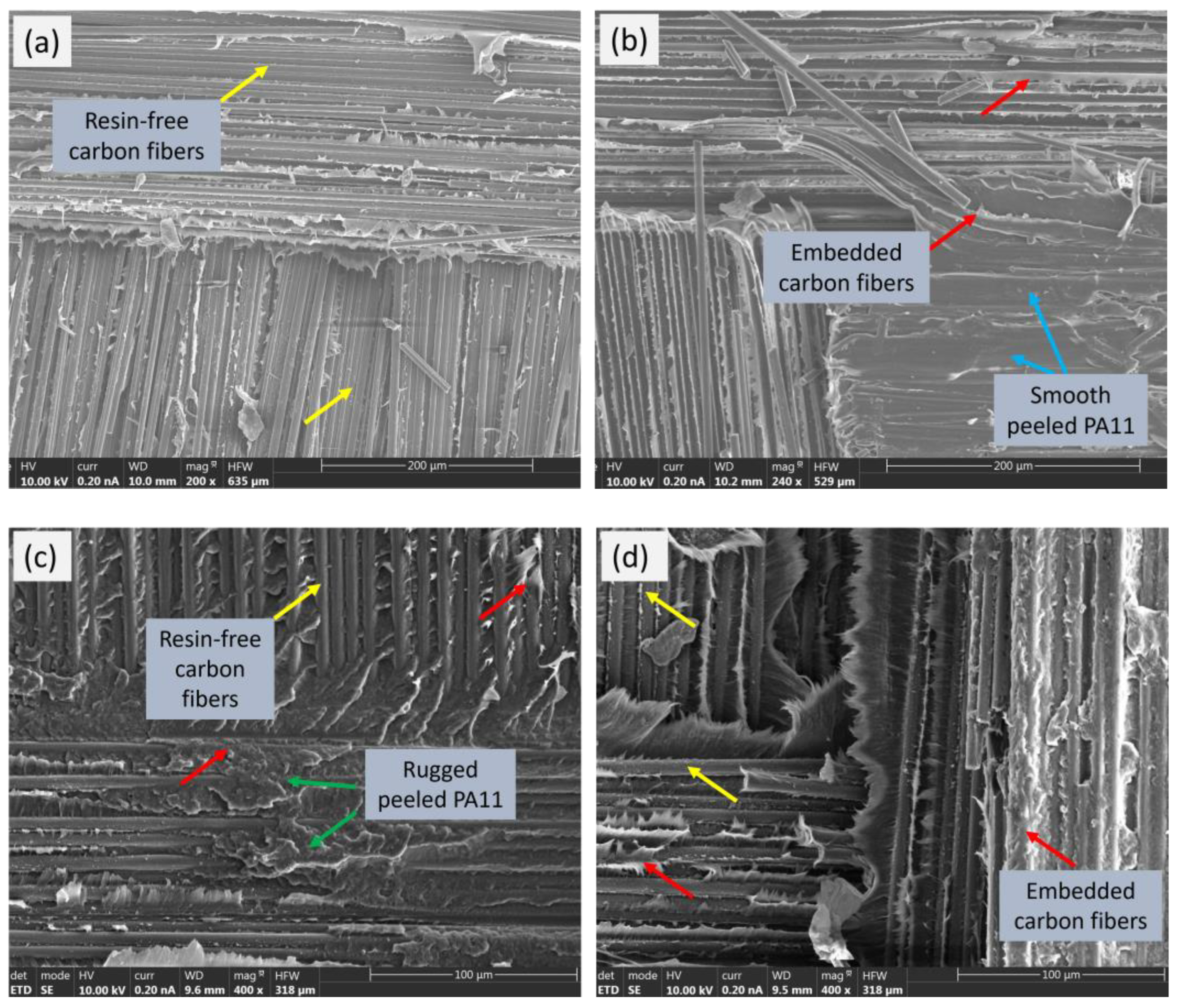 Polymers 15 04619 g010