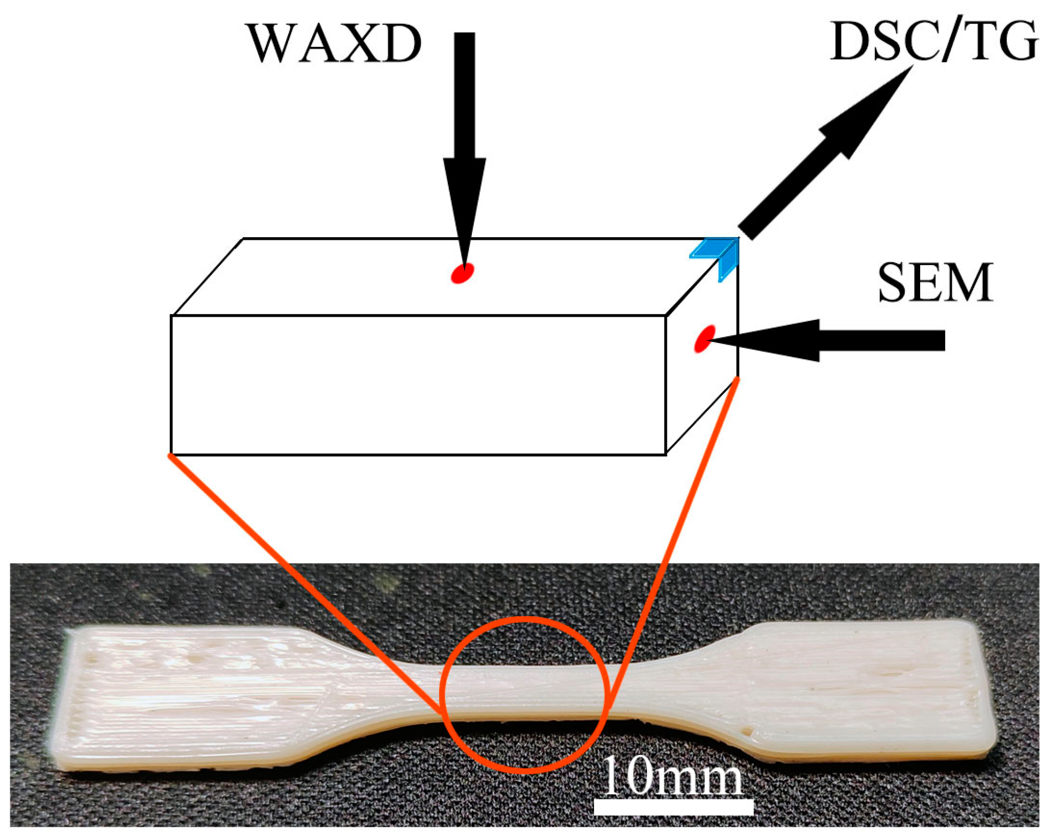 Polymers 15 04620 g002