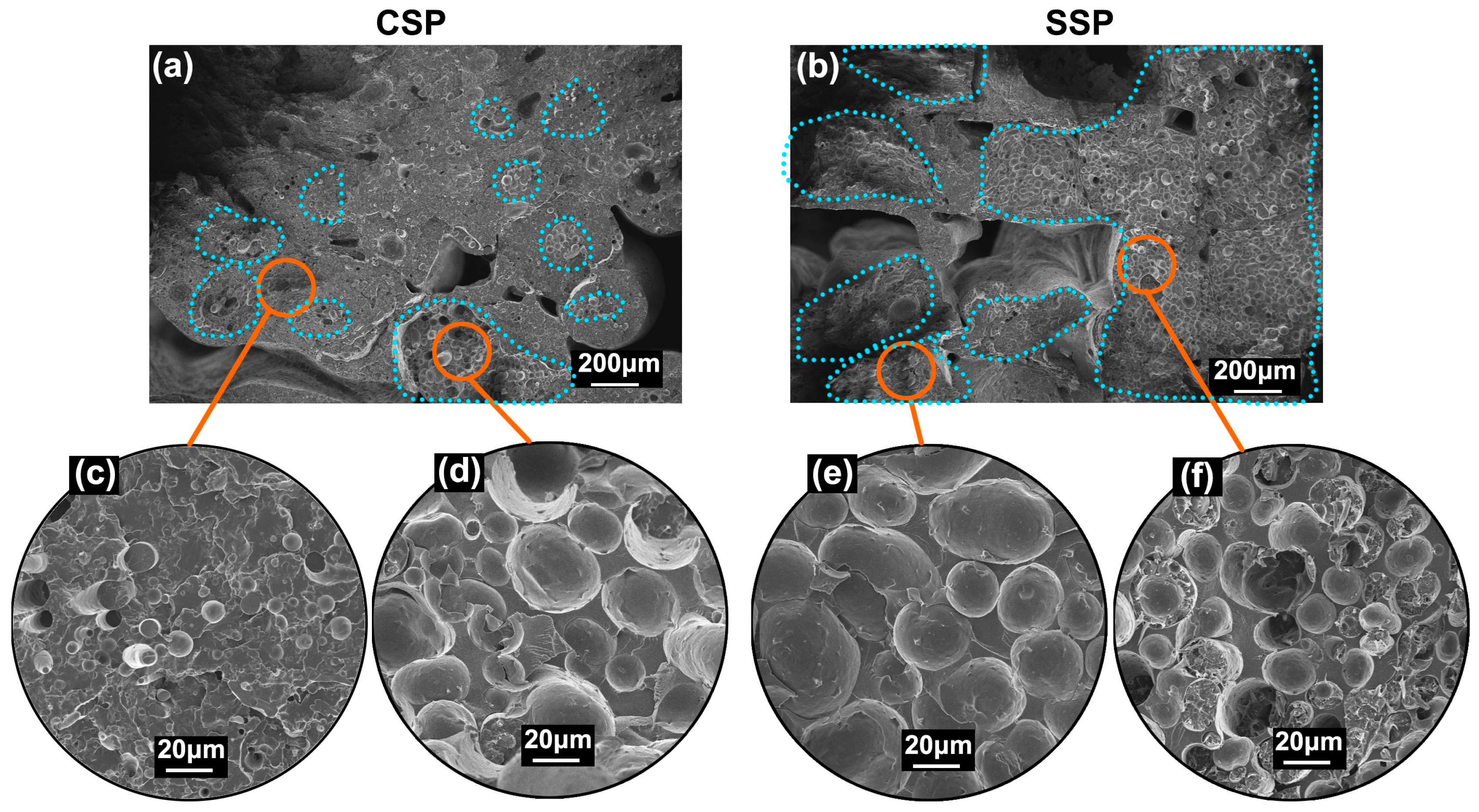 Polymers 15 04620 g009
