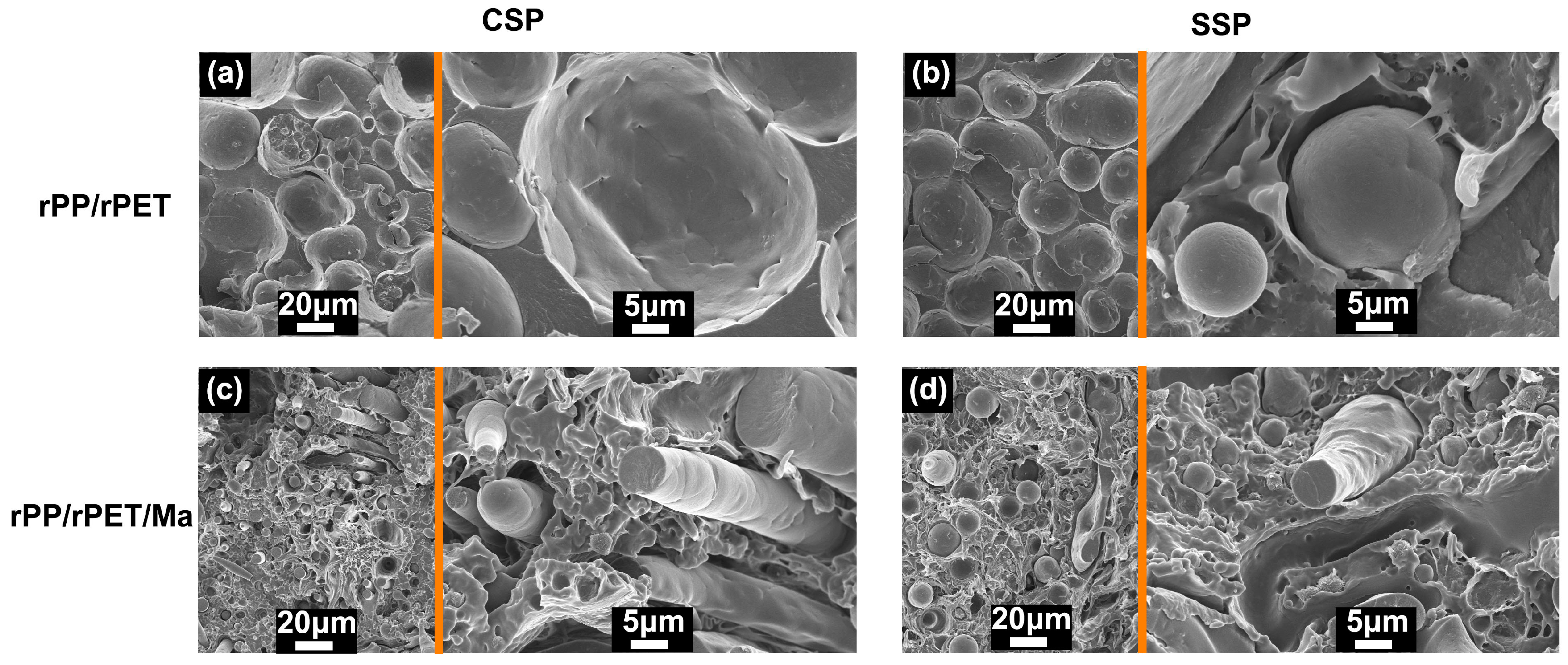 Polymers 15 04620 g010