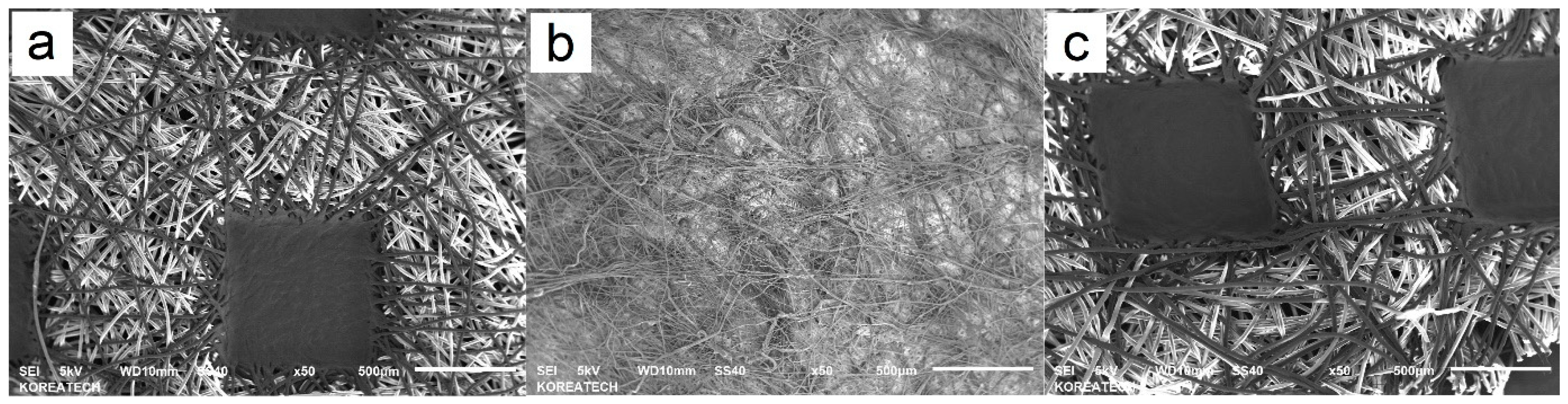 Polymers 15 04624 g006