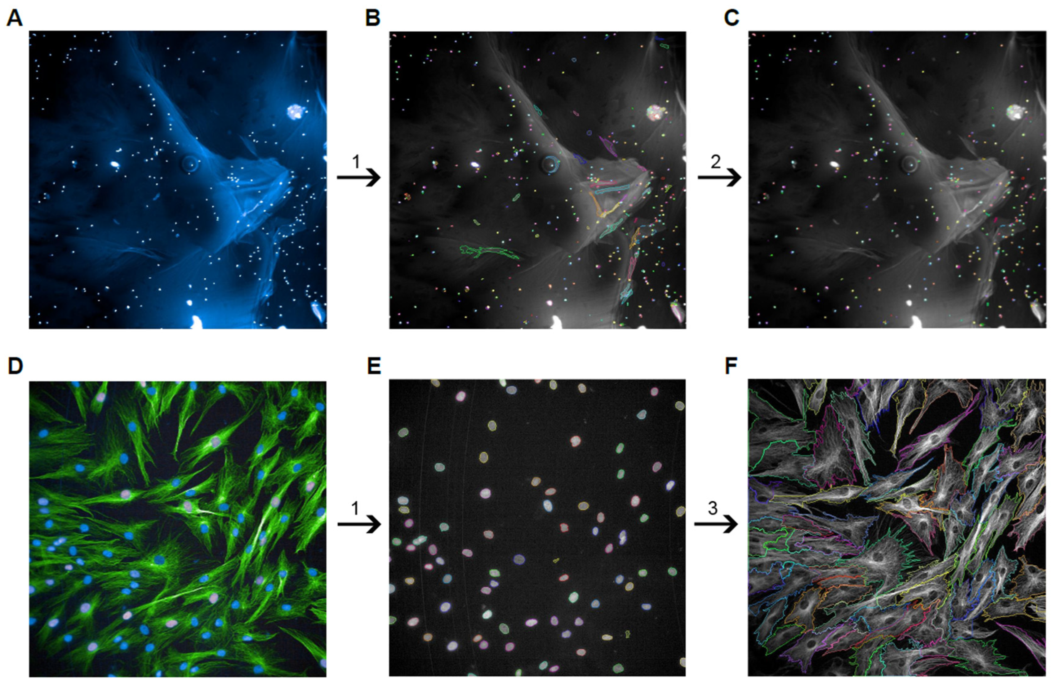 Polymers 15 04630 g002