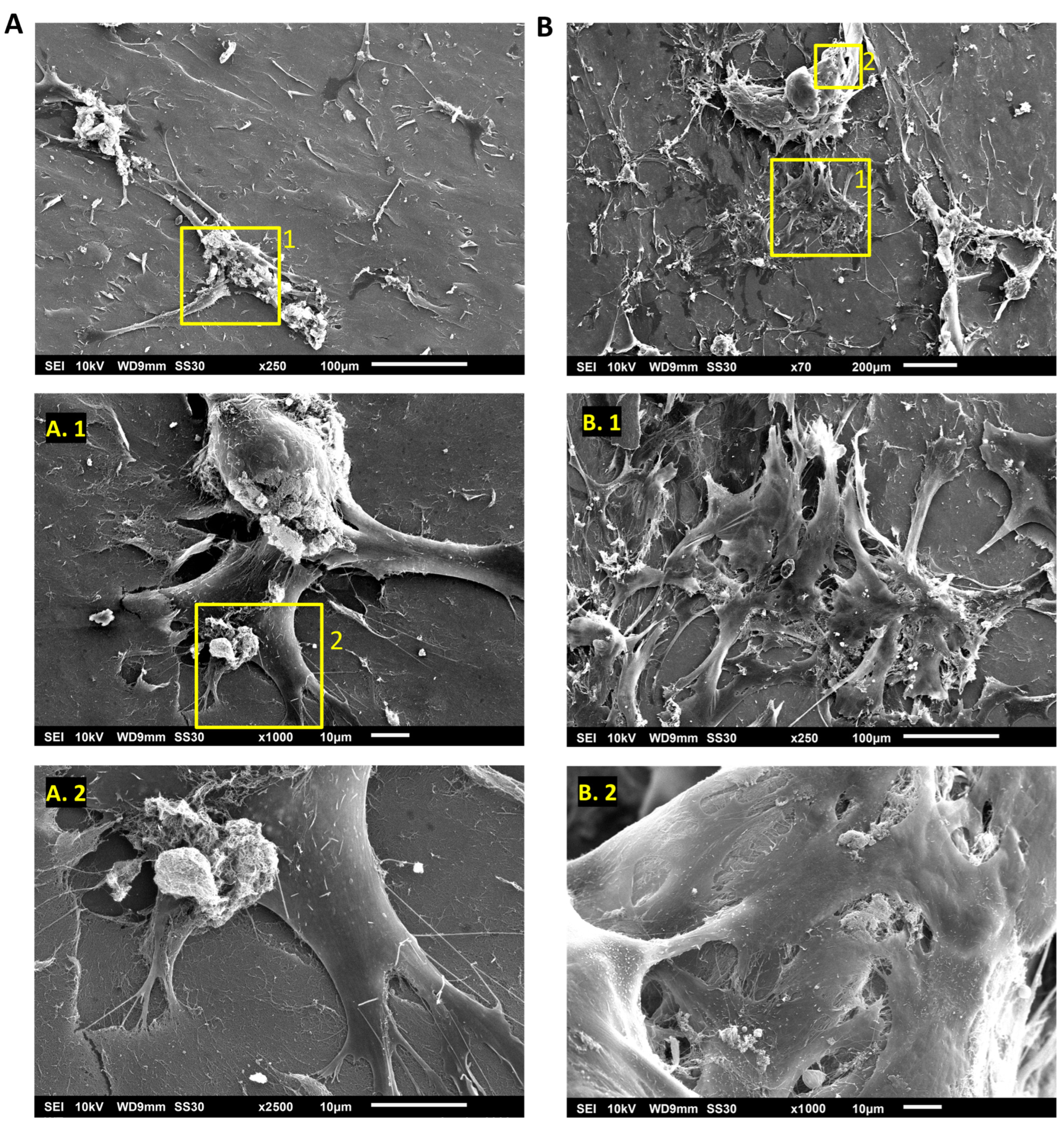 Polymers 15 04630 g006