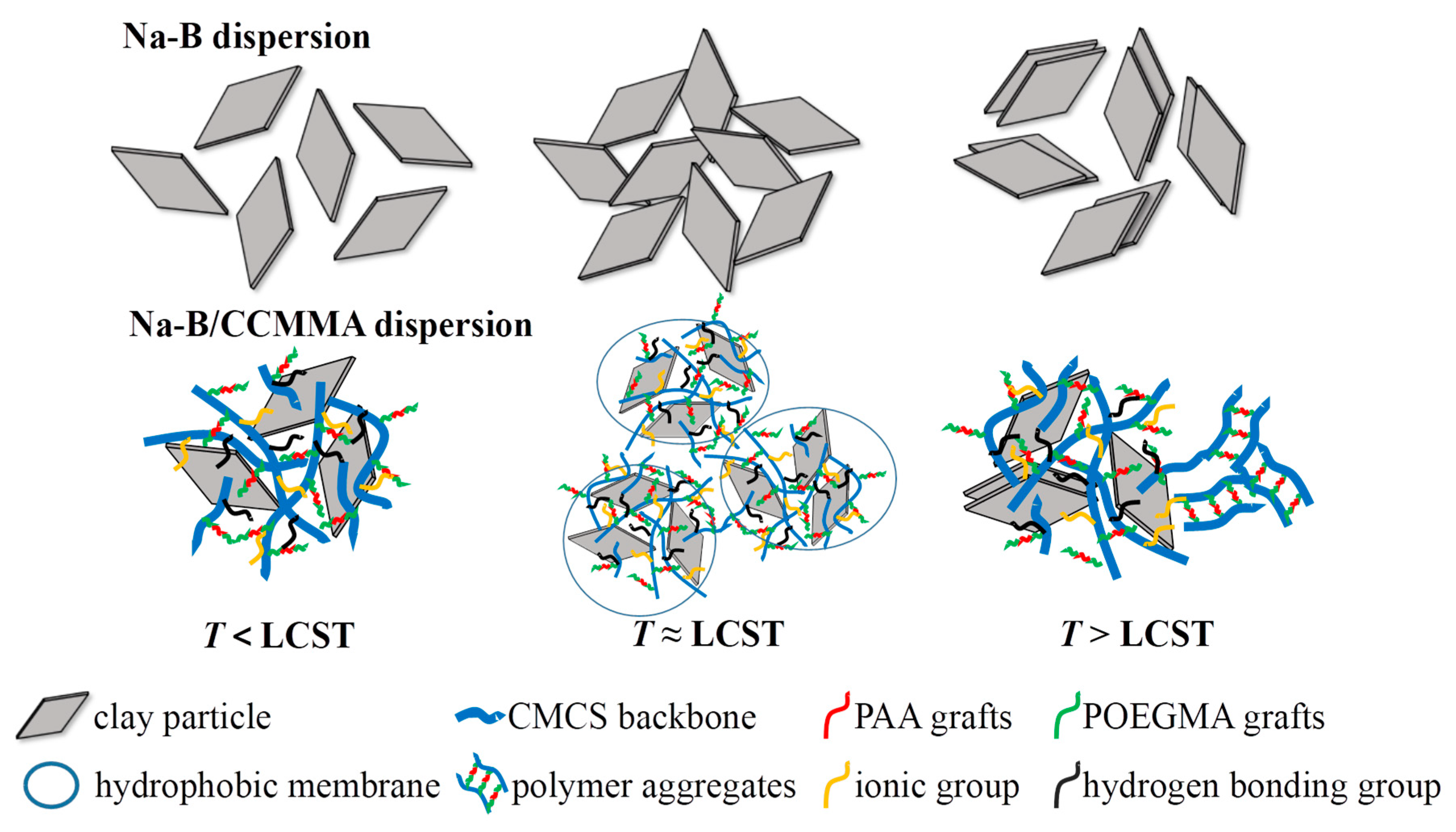 Polymers 15 04632 g013