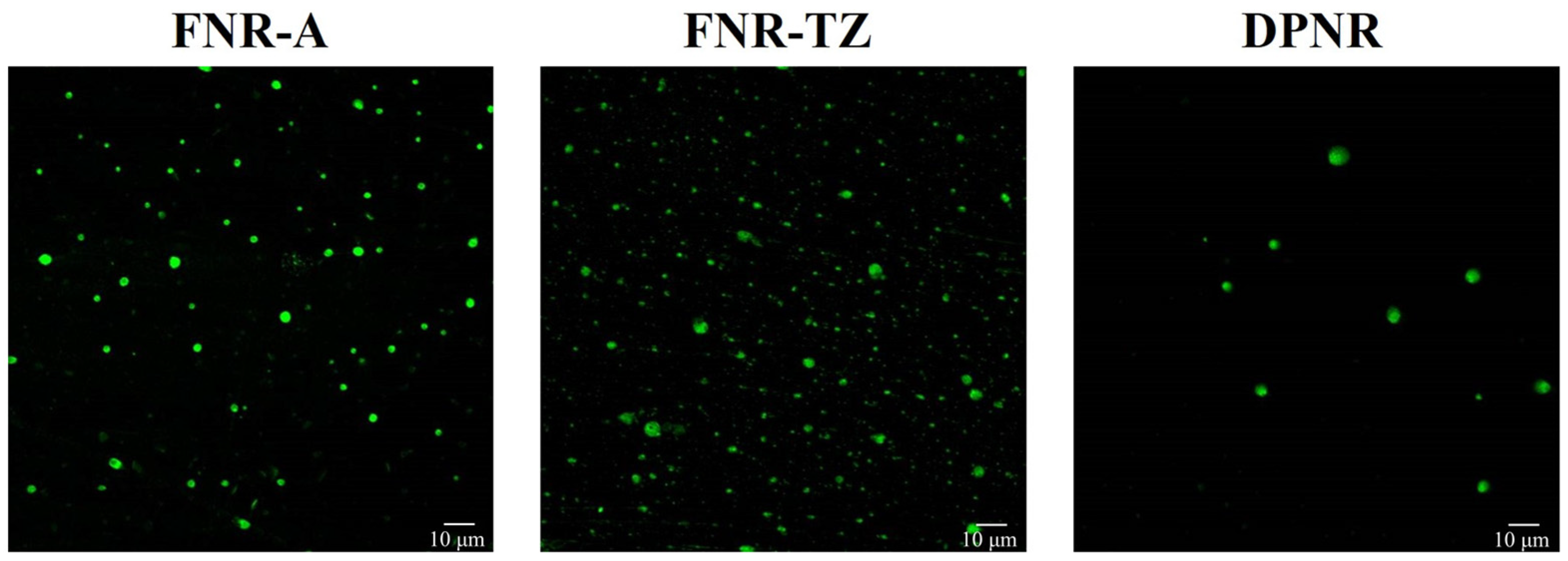 Polymers 15 04636 g001
