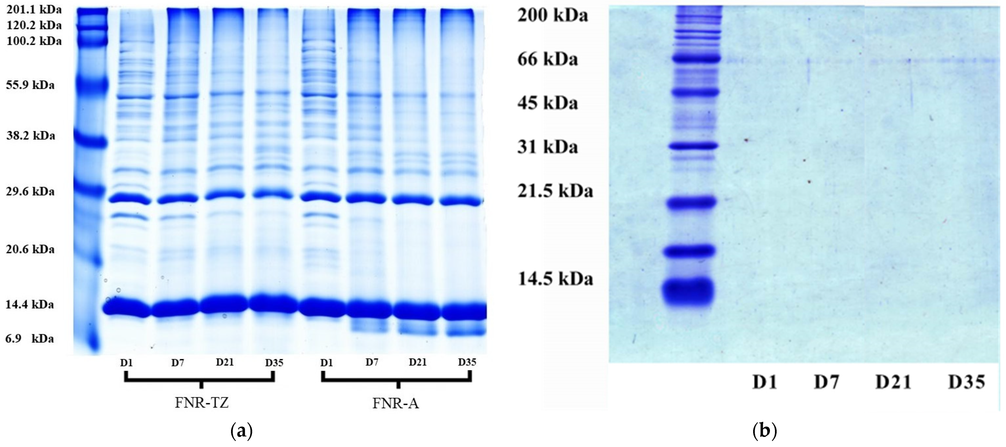 Polymers 15 04636 g005