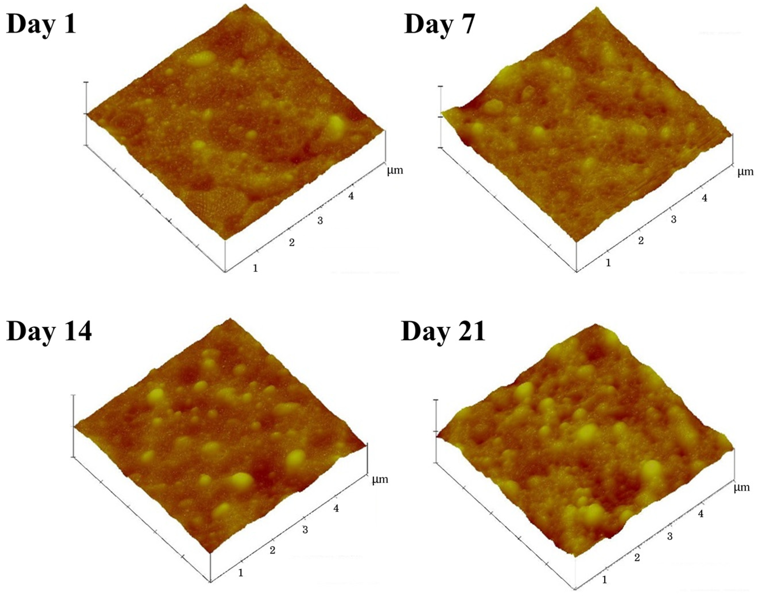 Polymers 15 04636 g006