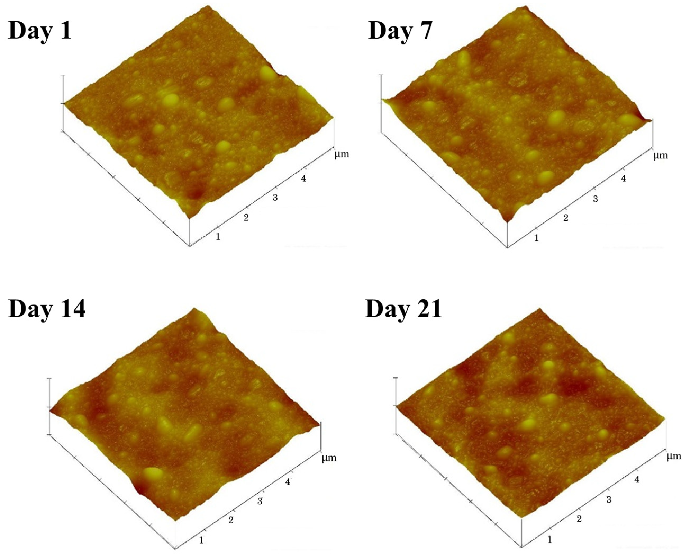 Polymers 15 04636 g007