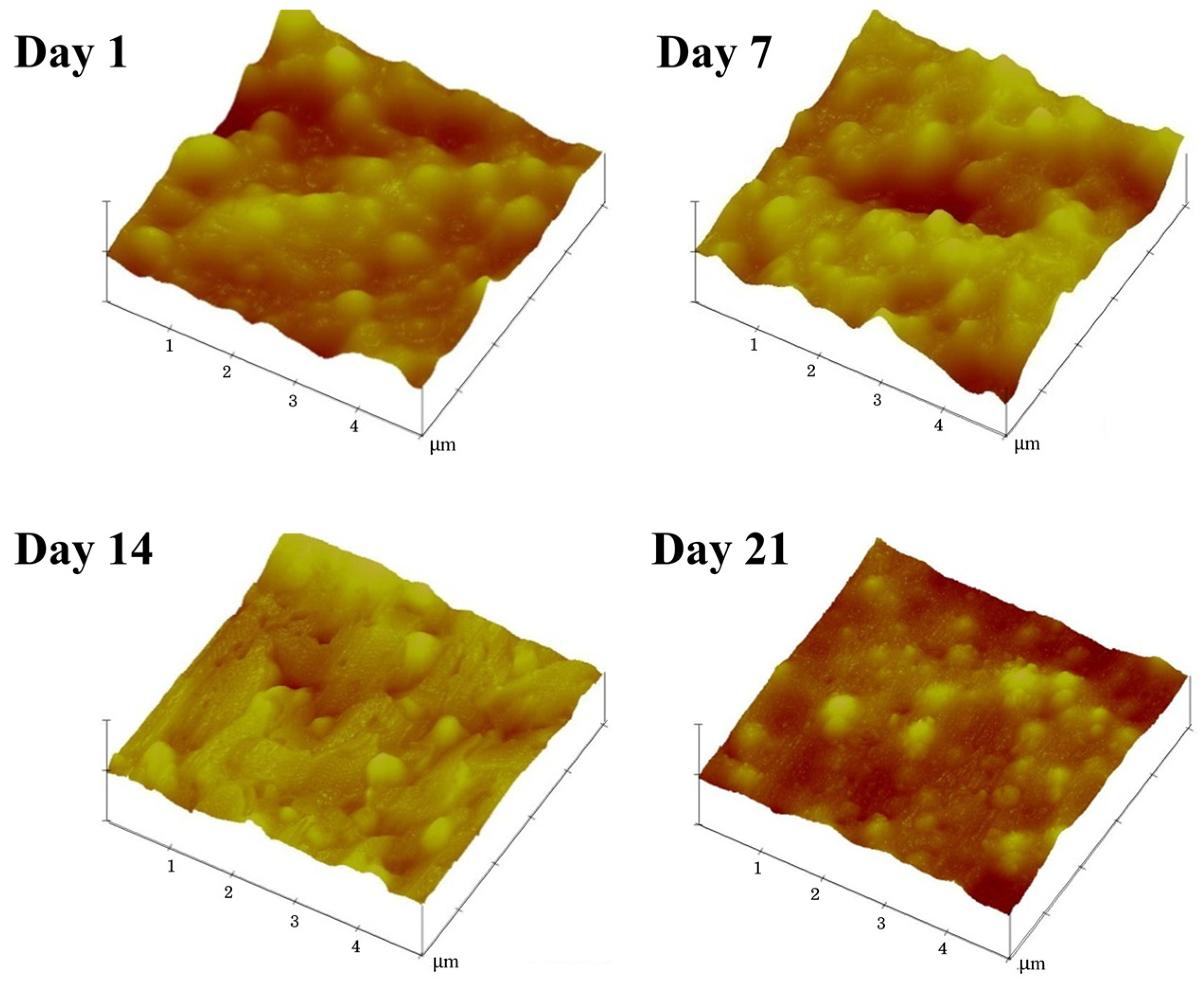 Polymers 15 04636 g008