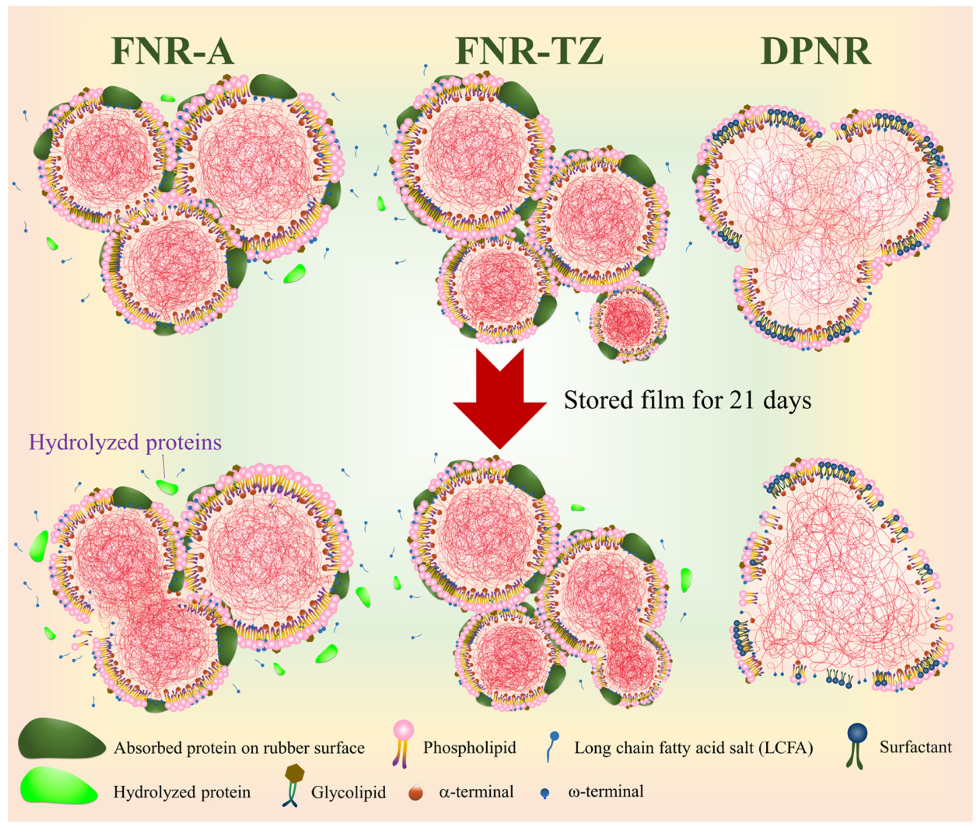 Polymers 15 04636 sch001
