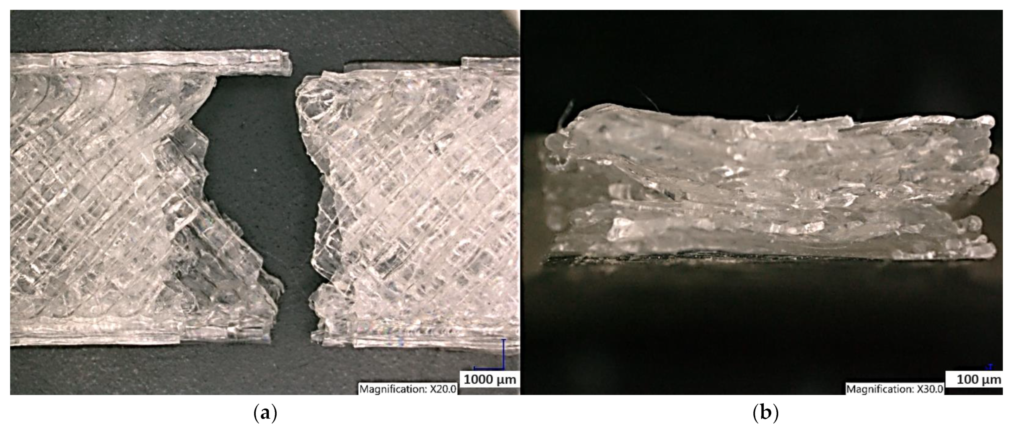 Polymers 15 04639 g020