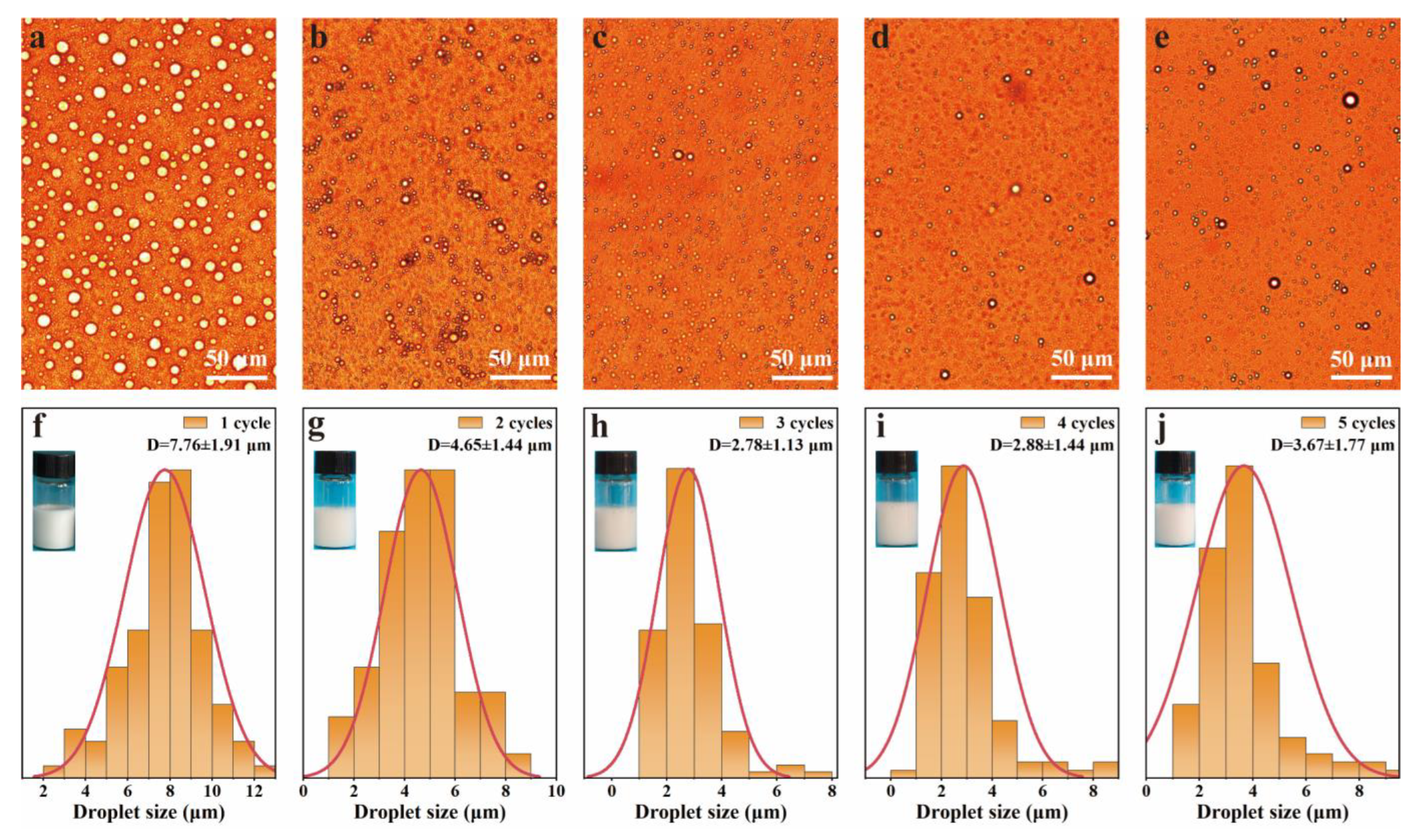 Polymers 15 04643 g007