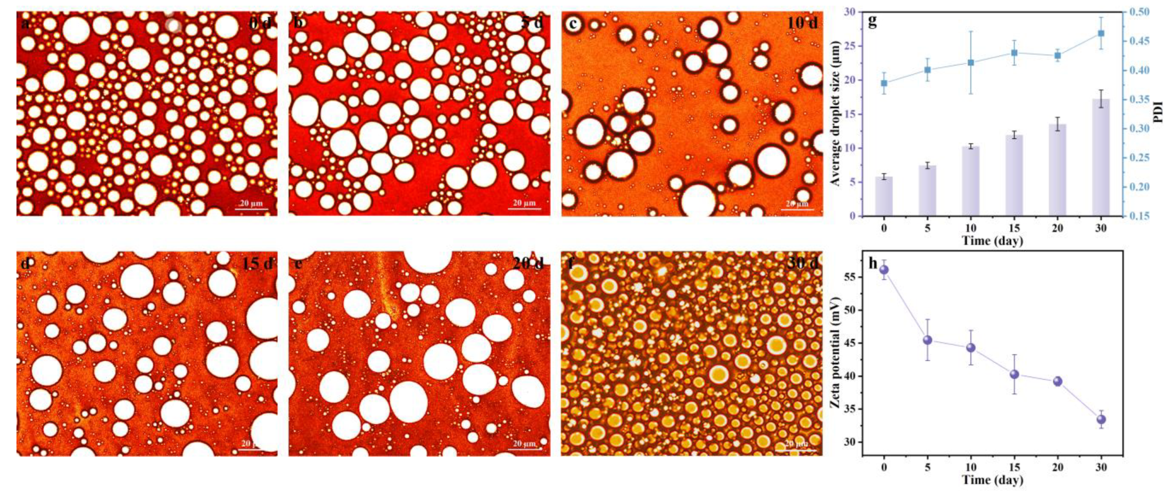 Polymers 15 04643 g008