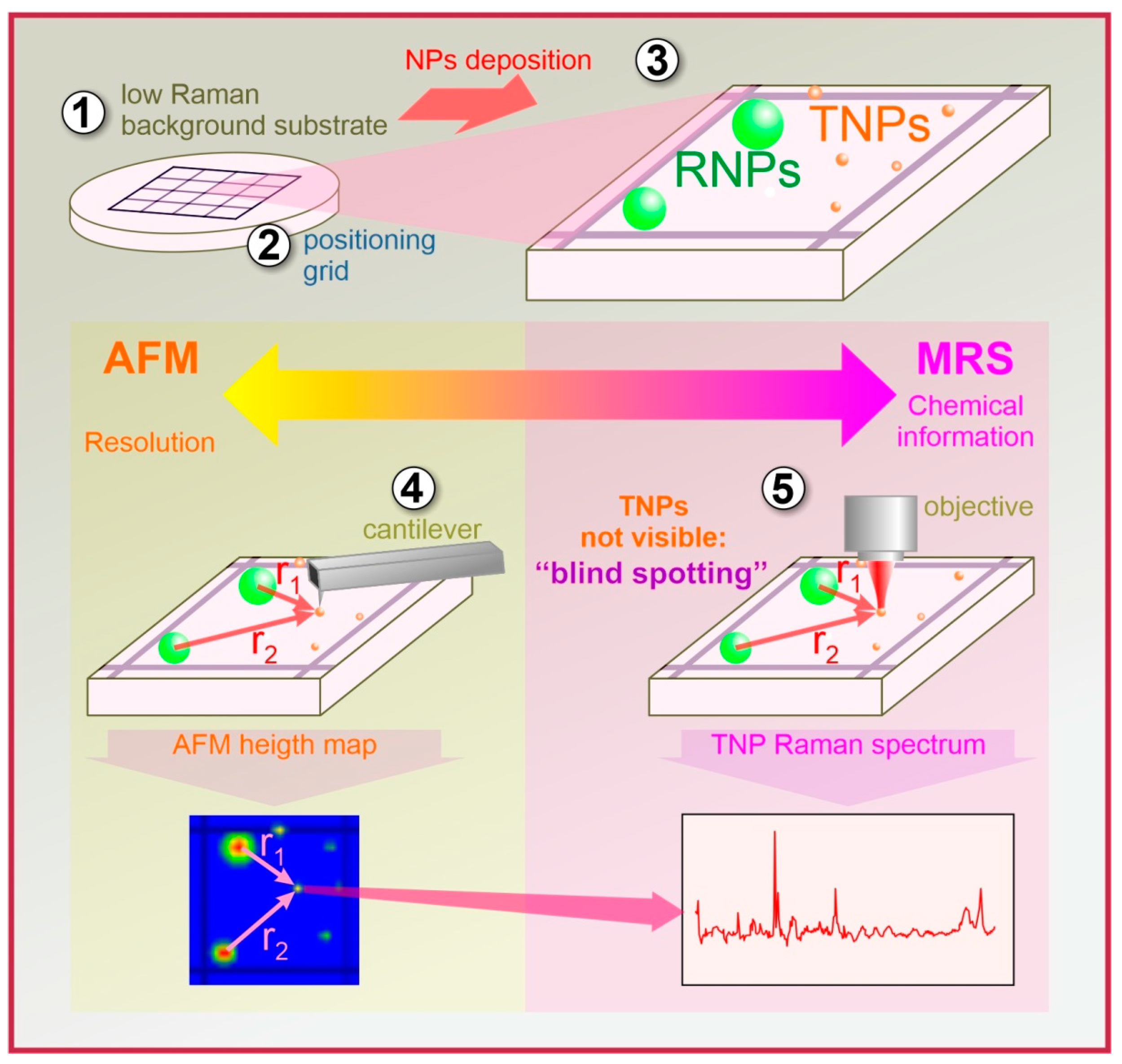Polymers 15 04644 g001