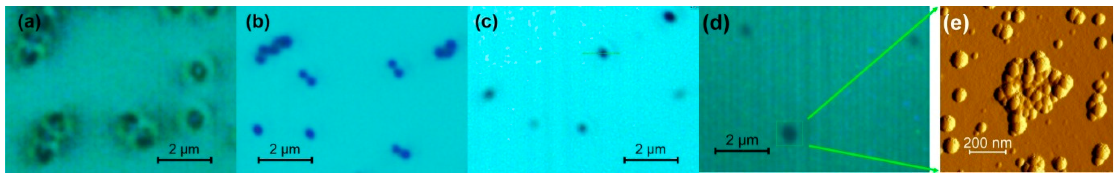 Polymers 15 04644 g002