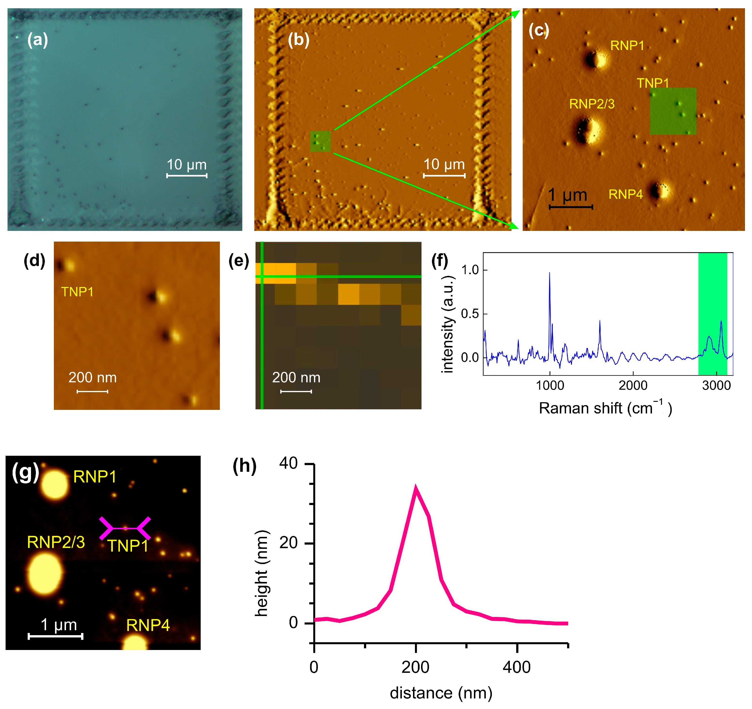 Polymers 15 04644 g0a3