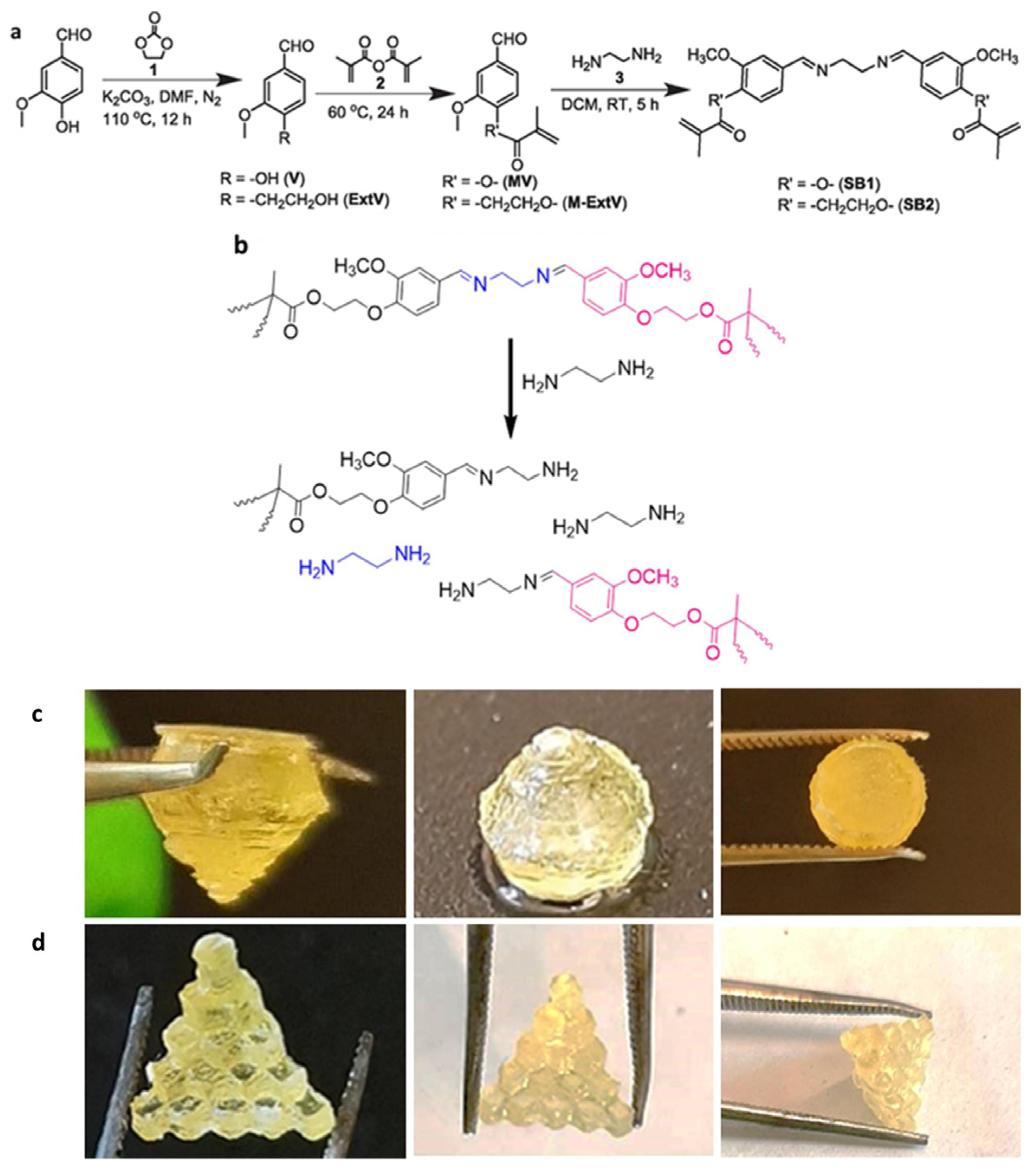 Polymers 15 04646 g005