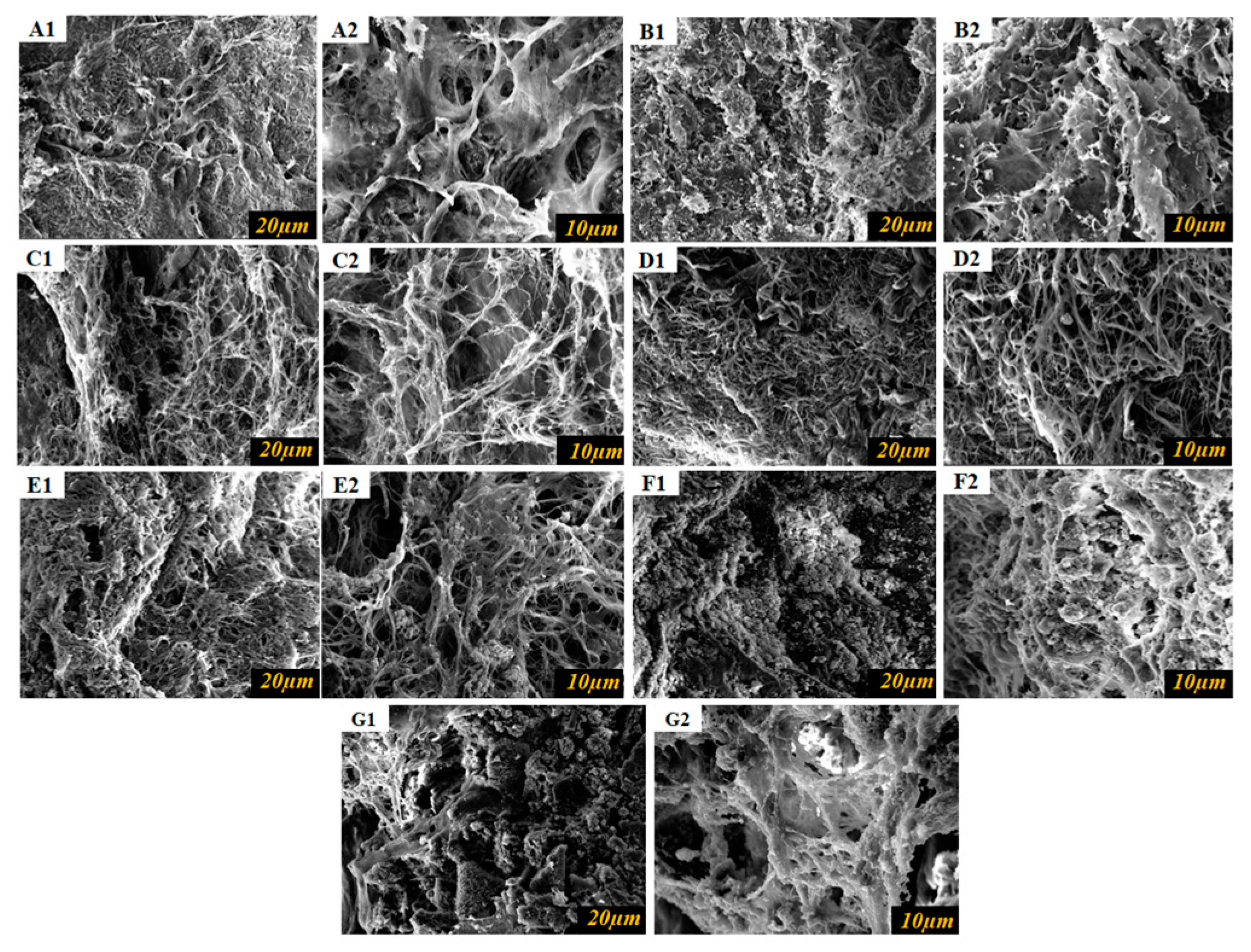 Polymers 15 04647 g008