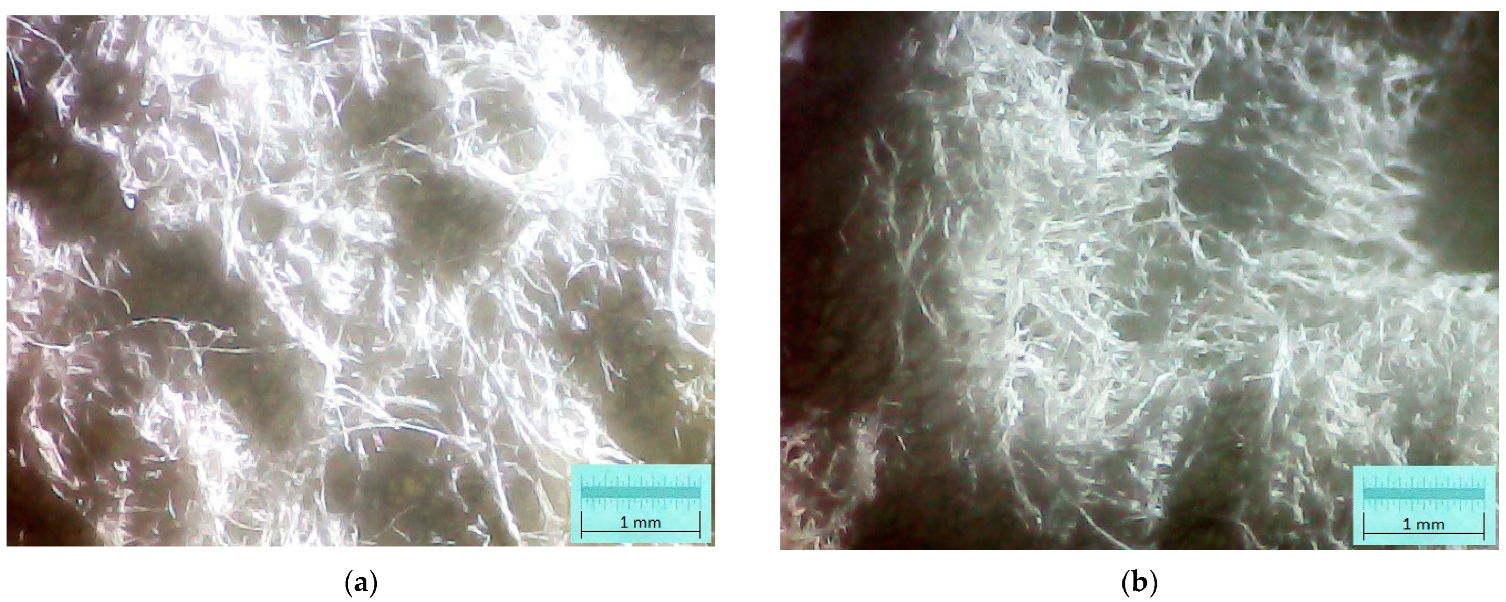 Polymers 15 04648 g003