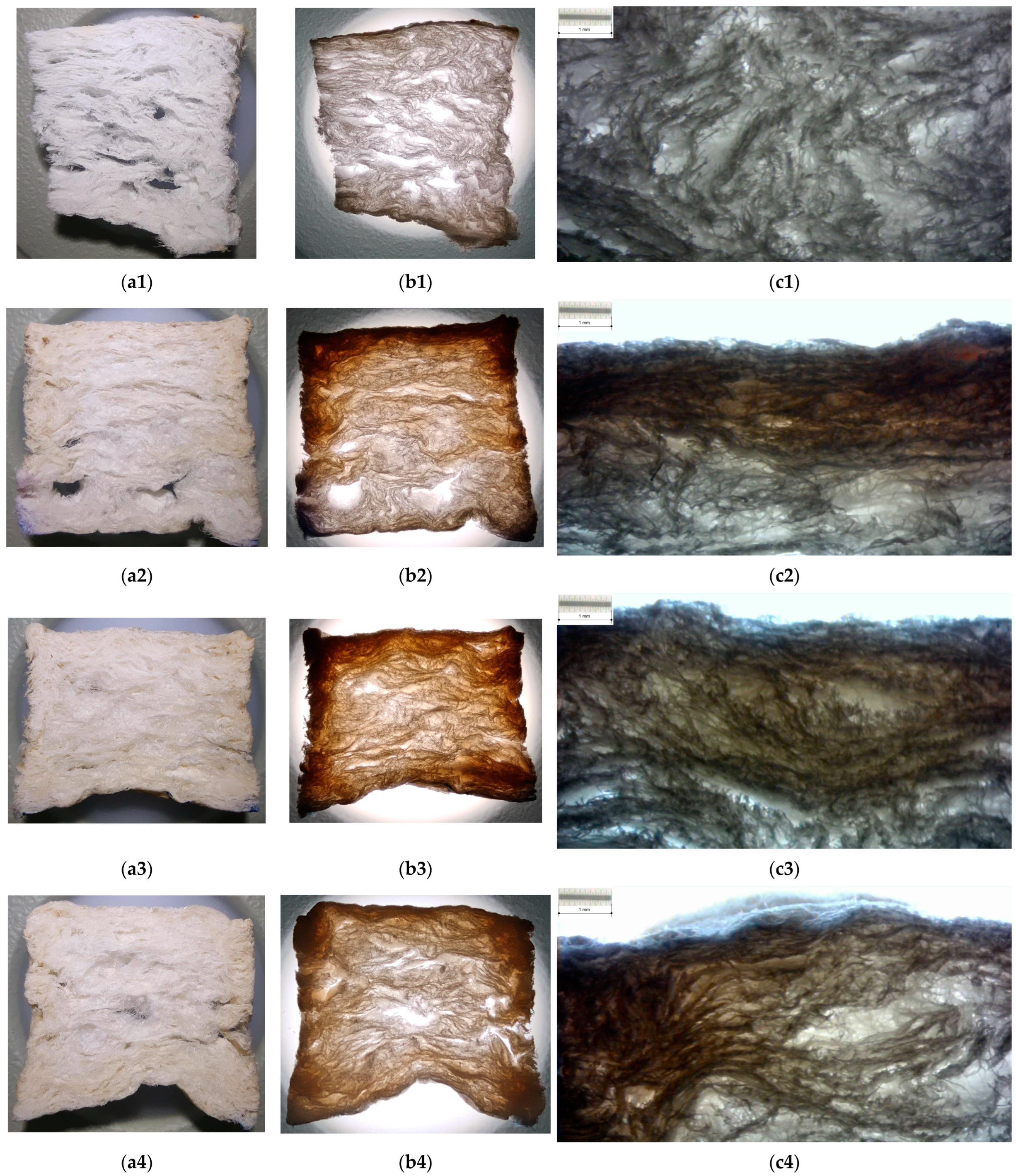 Polymers 15 04648 g006