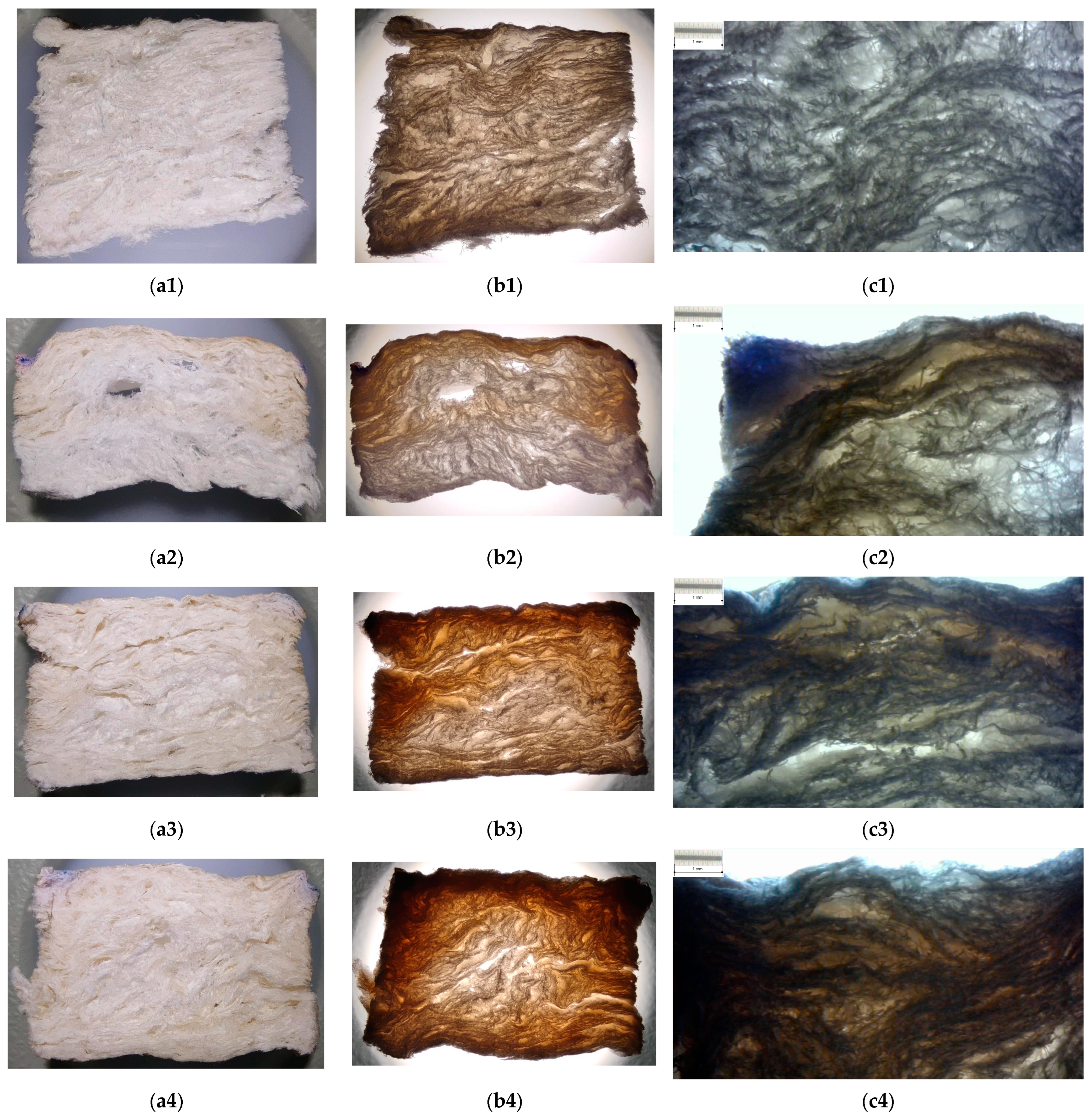 Polymers 15 04648 g007