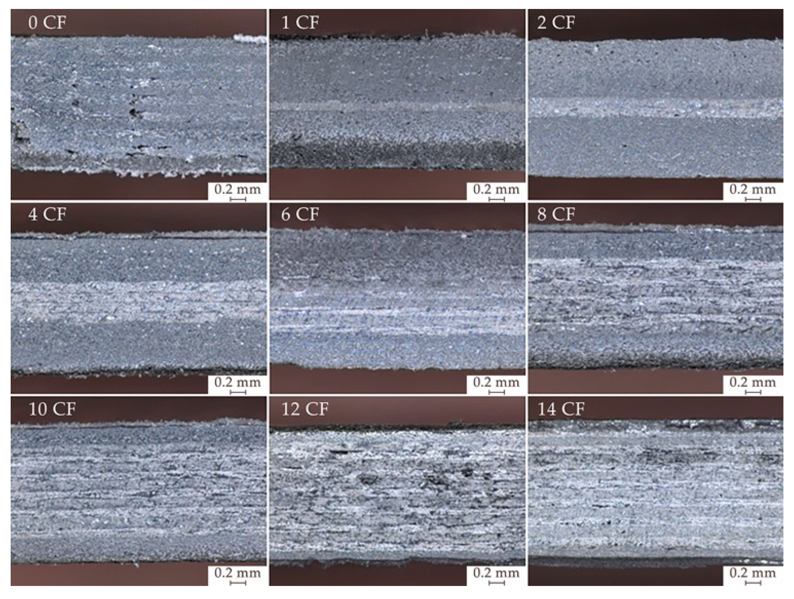 Polymers 15 04649 g006