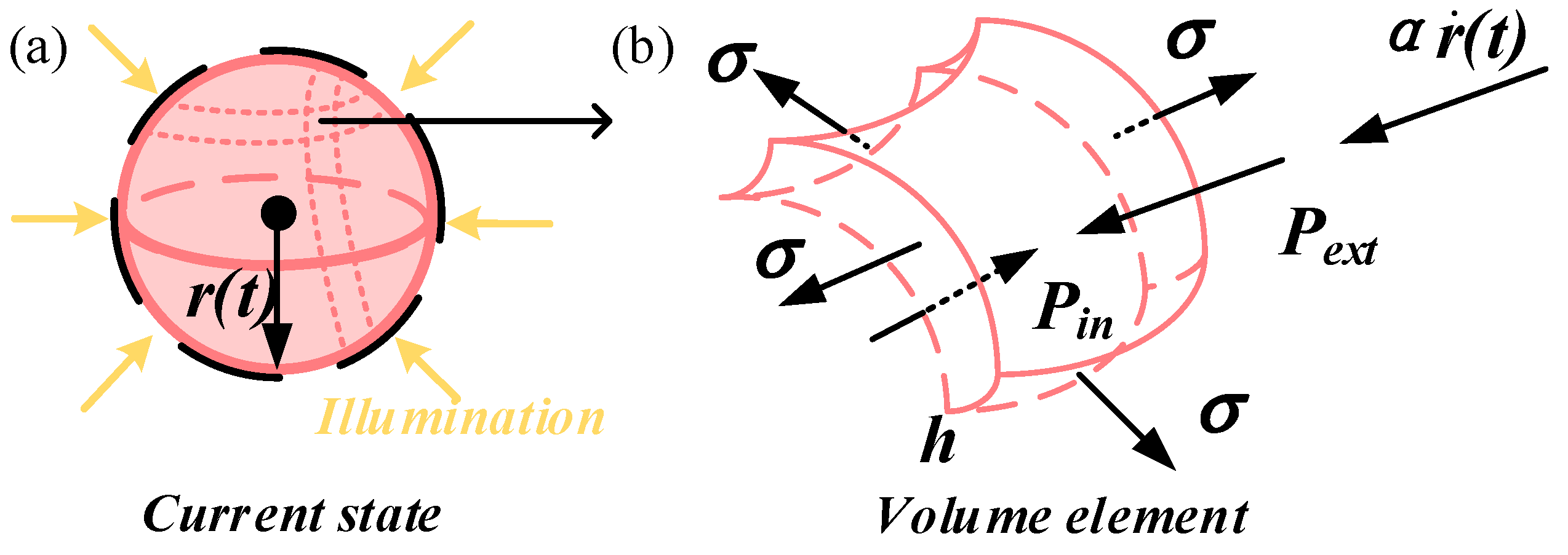 Polymers 15 04651 g002