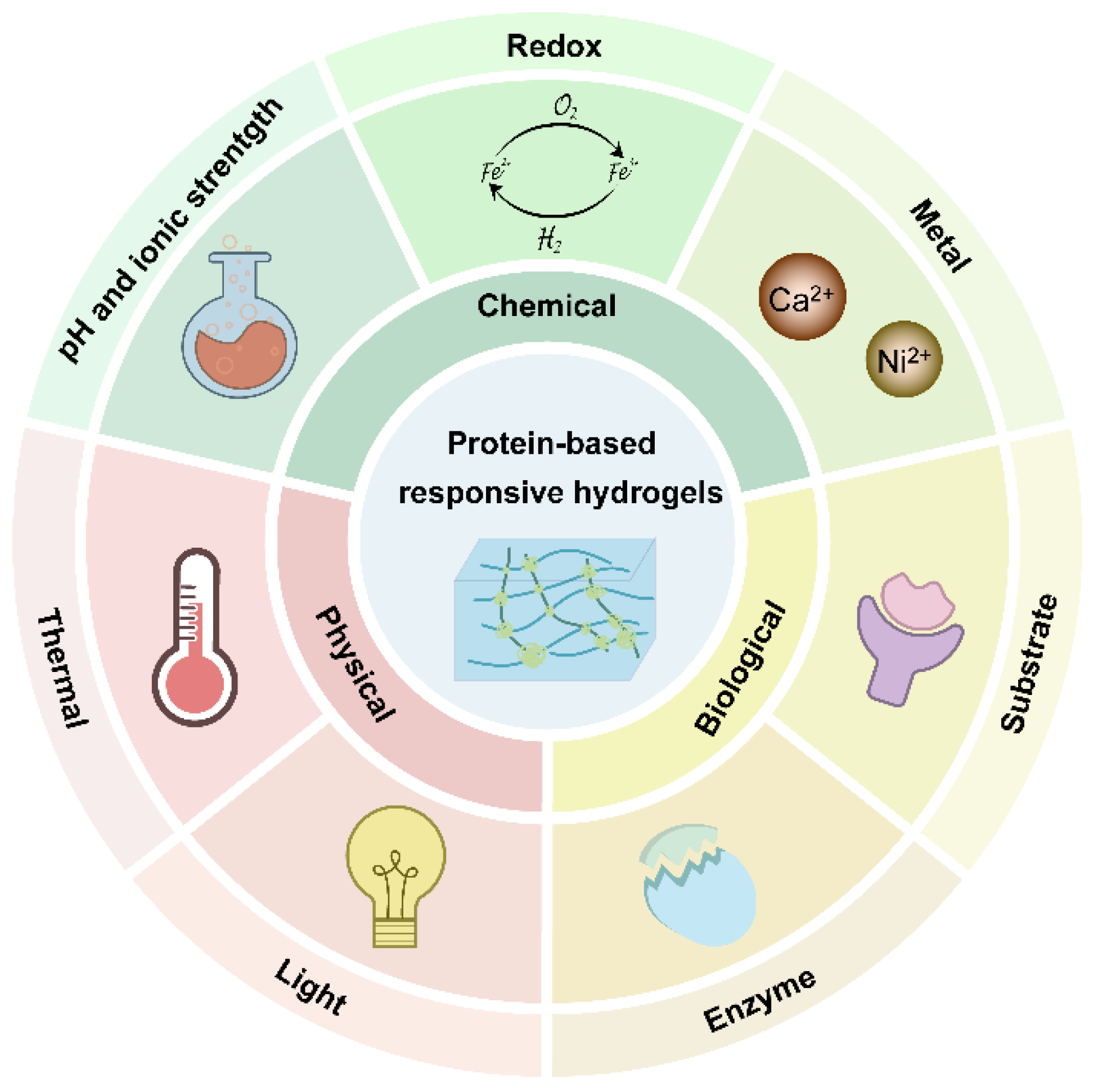 Polymers 15 04652 g001