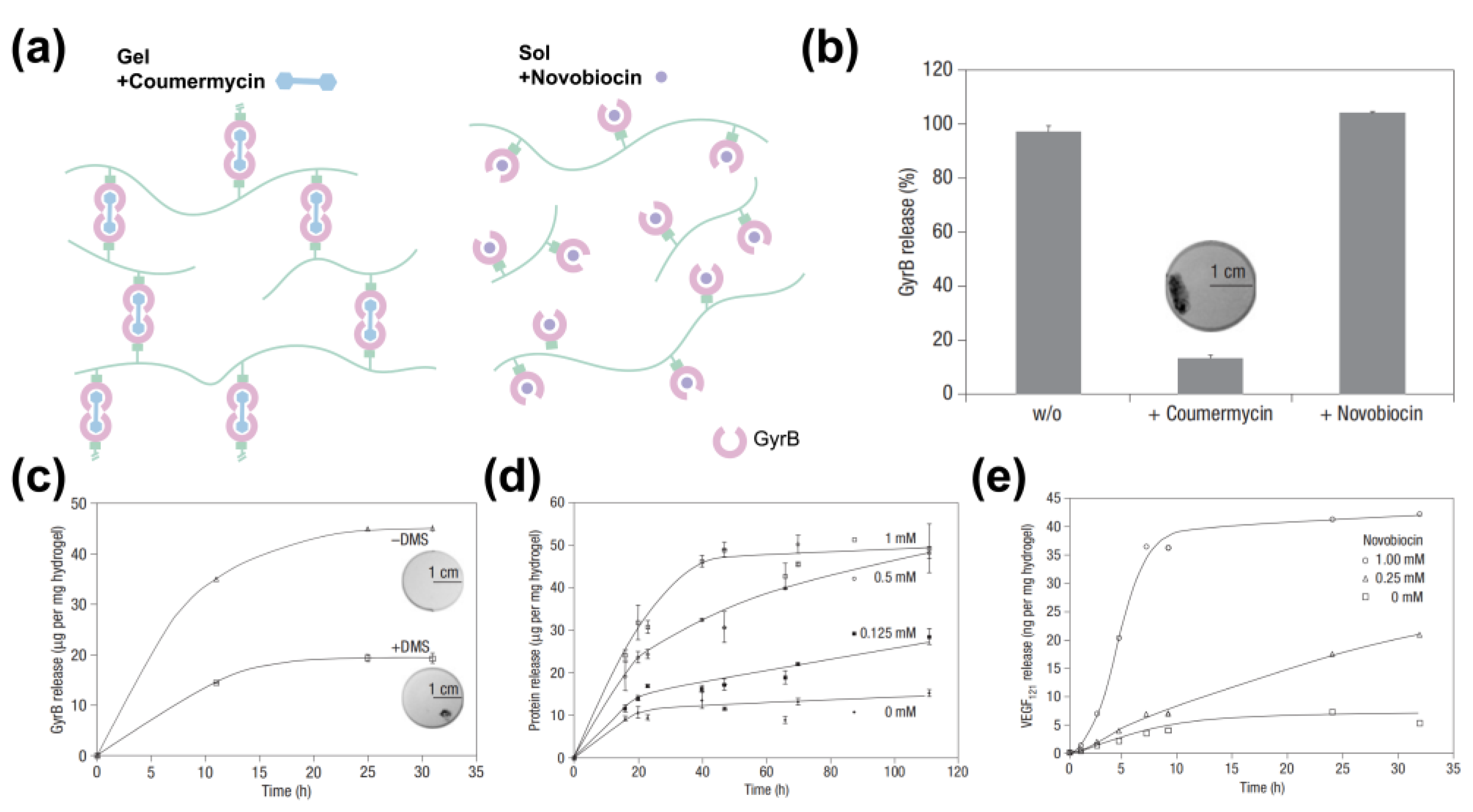 Polymers 15 04652 g007