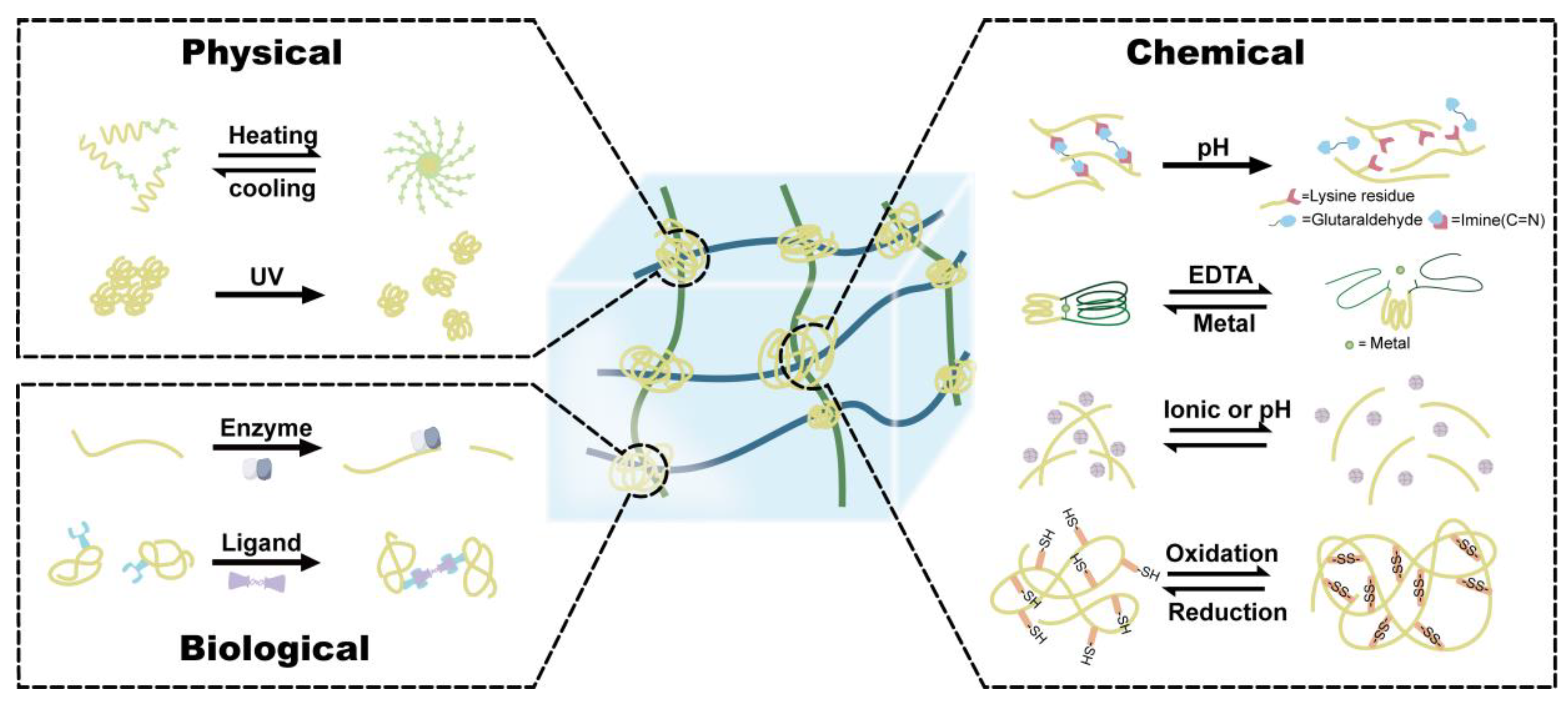 Polymers 15 04652 g008