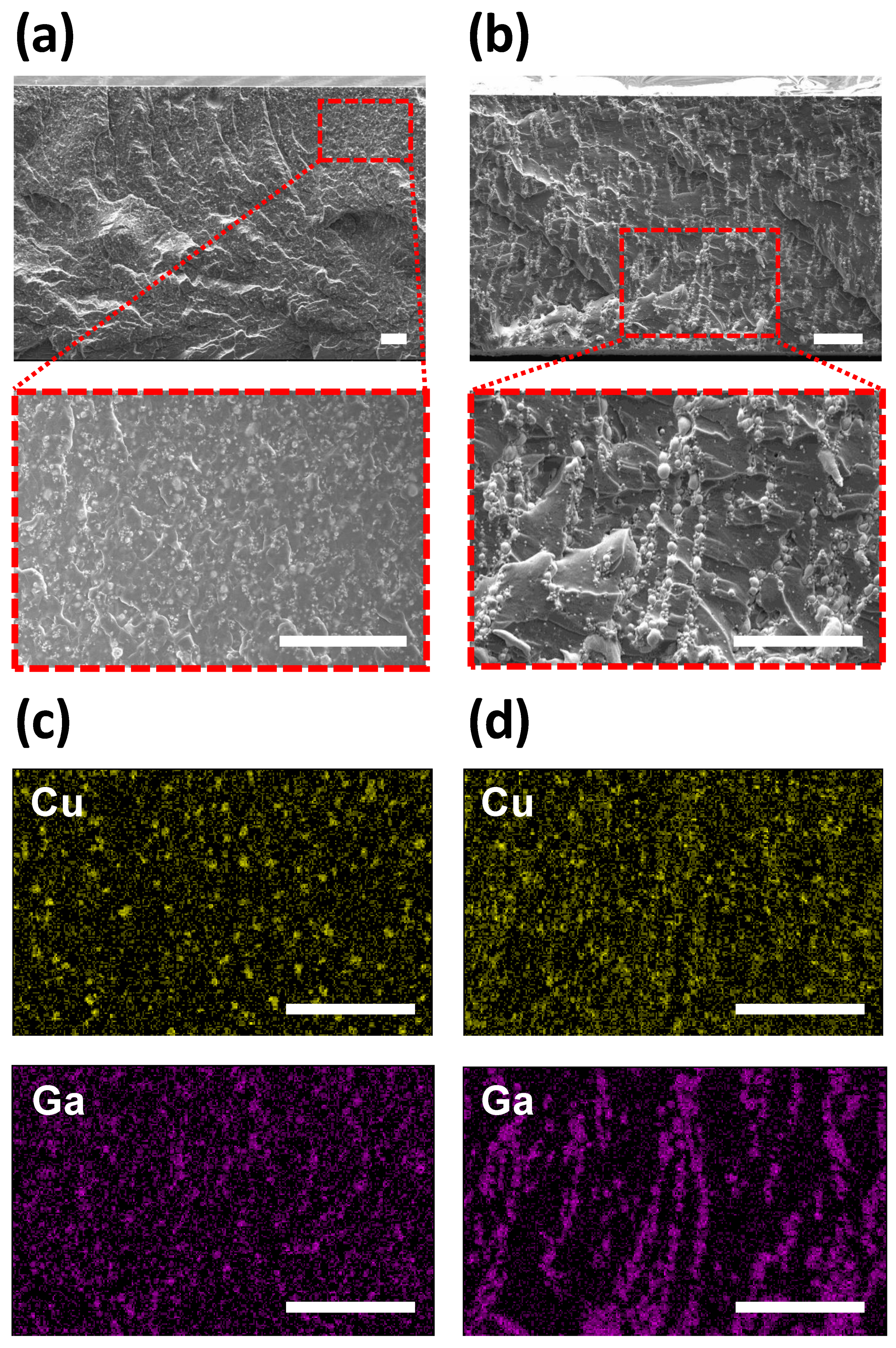 Polymers 15 04653 g006
