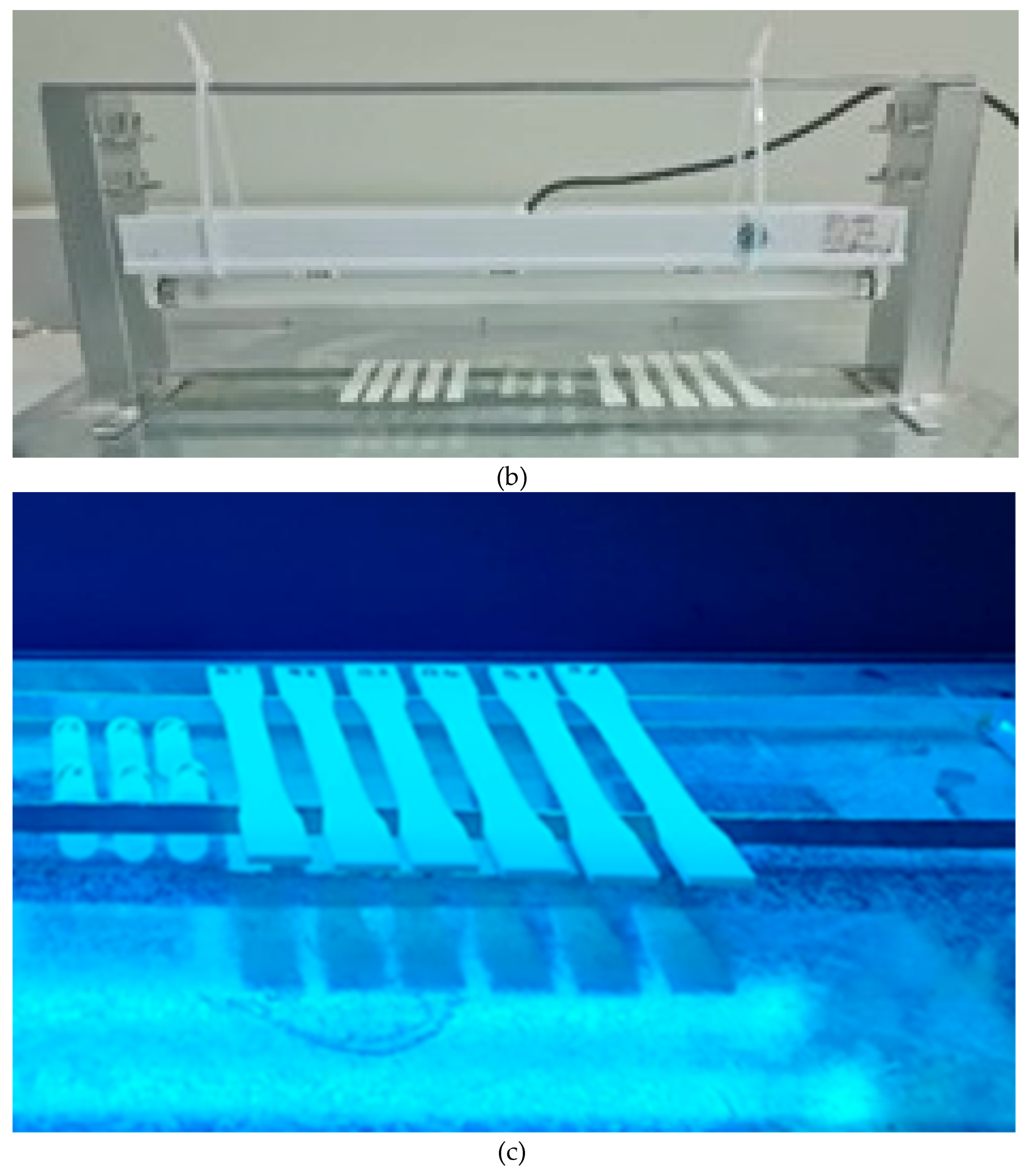 Polymers 15 04658 g006b