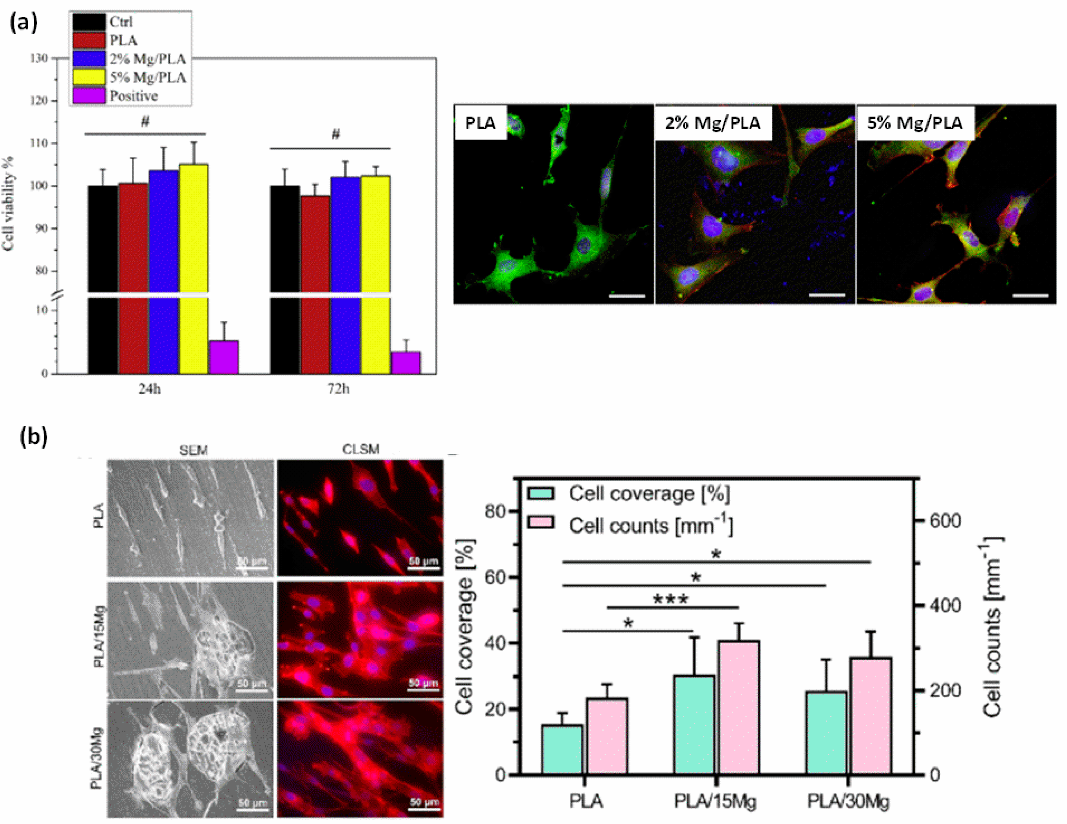 Polymers 15 04667 g003